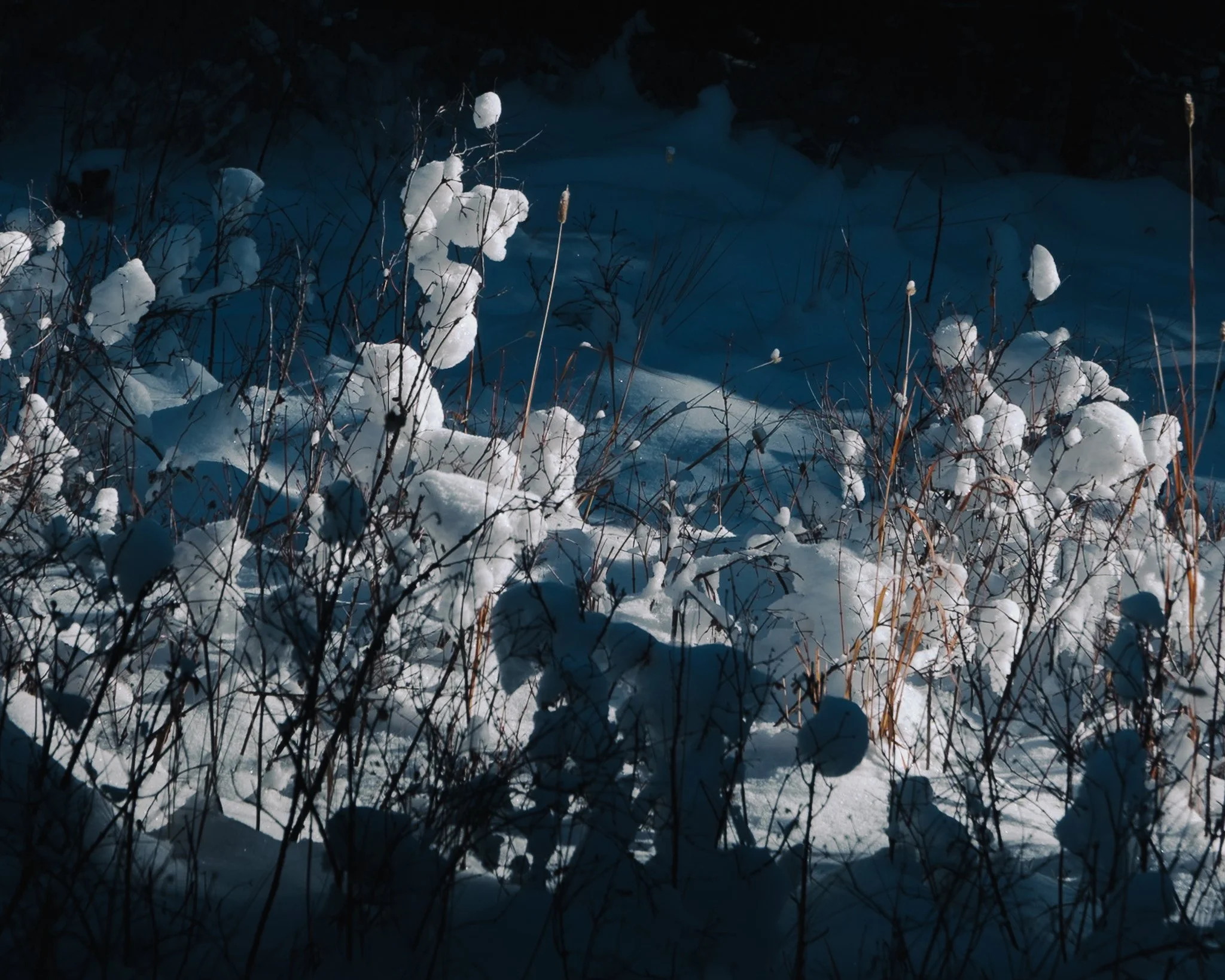 DSCF5760.jpg