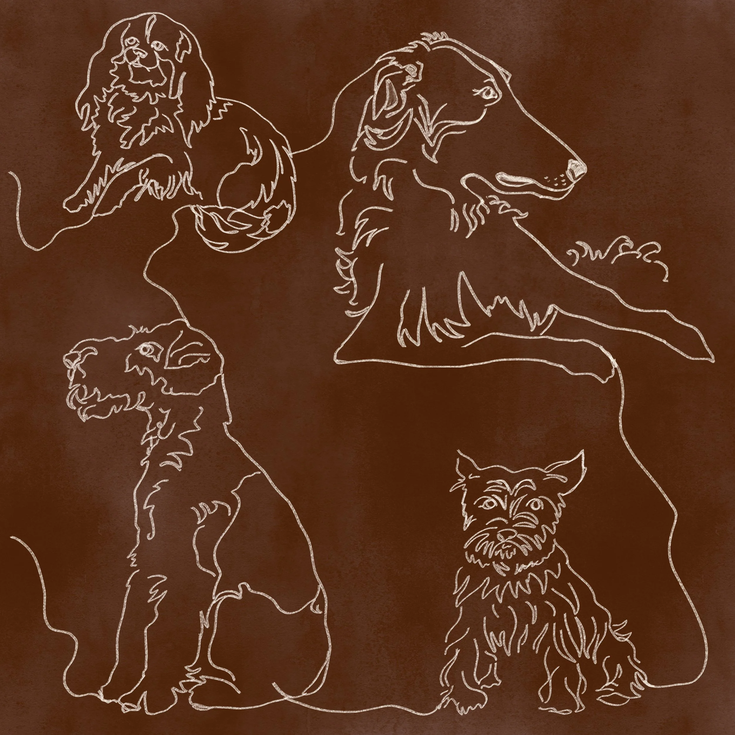 Dog Scrawl illustration