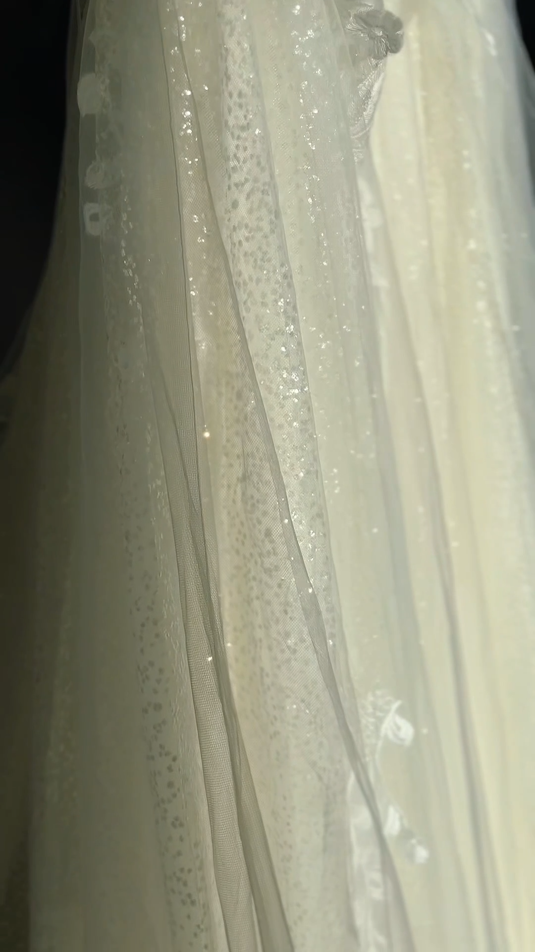 Close-up of a wedding gown with glitter tulle and intricate lace appliques.