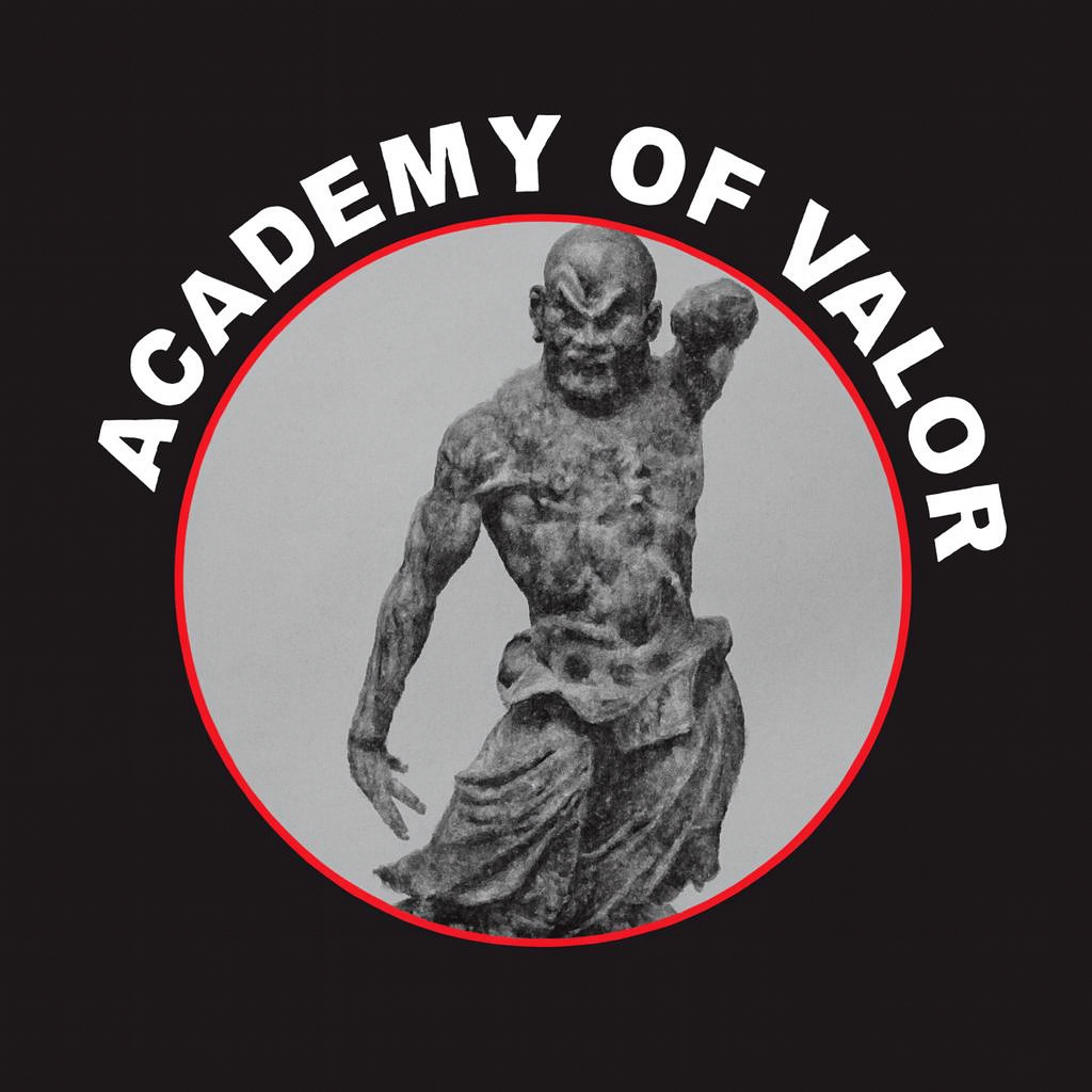 ACADEMY OF VALOR