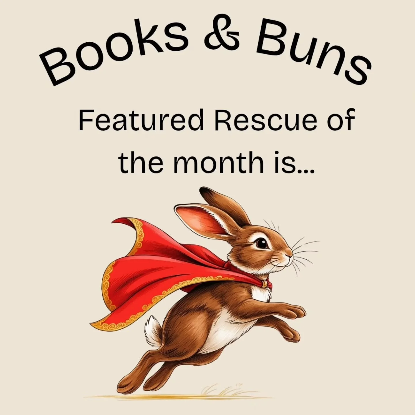 Another Featured Rescue! This one might look familiar, and it's because we wanted to showcase where we got our Keanu from once more now that our audience has grown!

If you are looking for a new bunny or two, or kitten, rat, even a pig, please click 