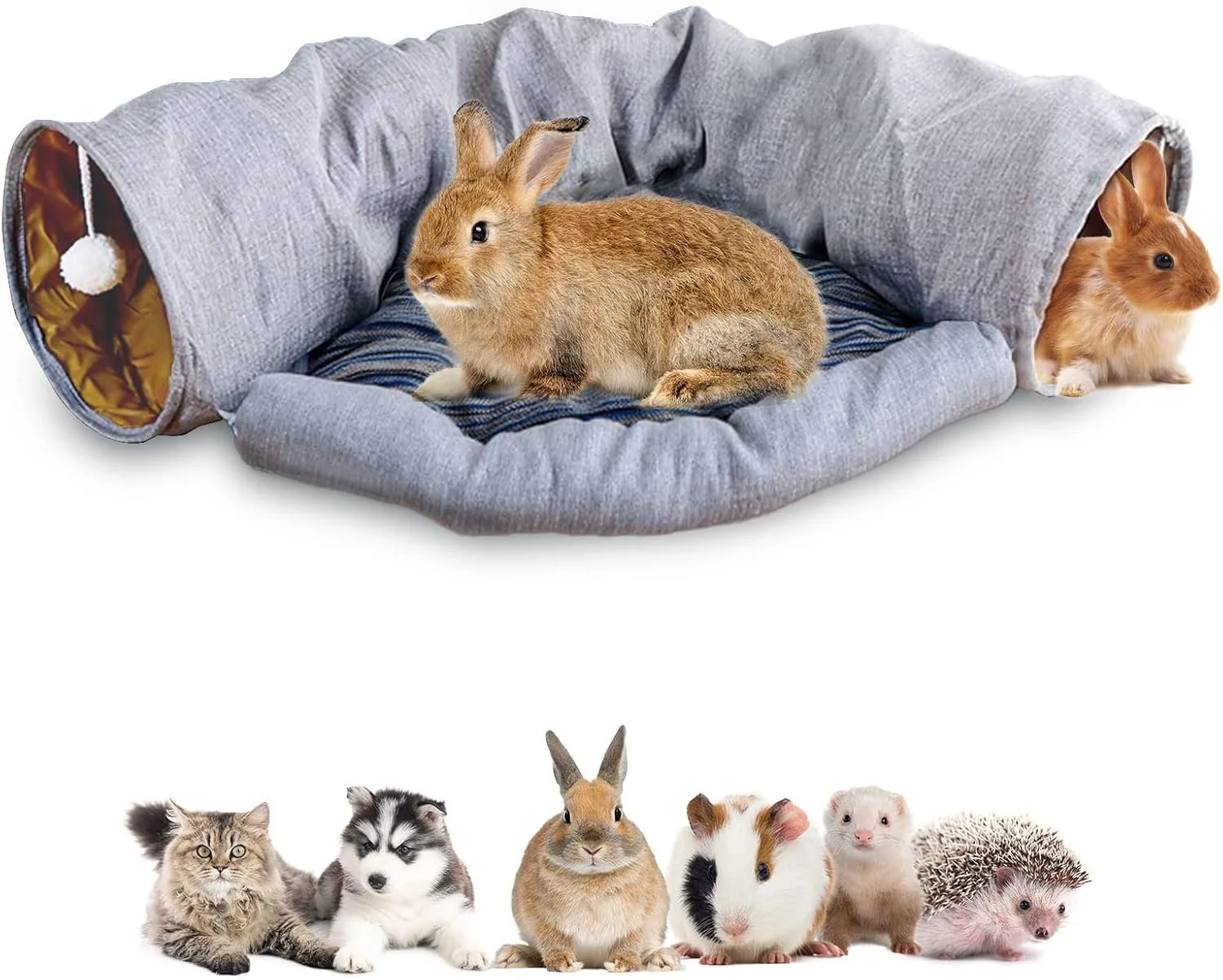 Collection of small animals including a rabbit, guinea pig, and hamster, with a cozy pet tunnel in the background.