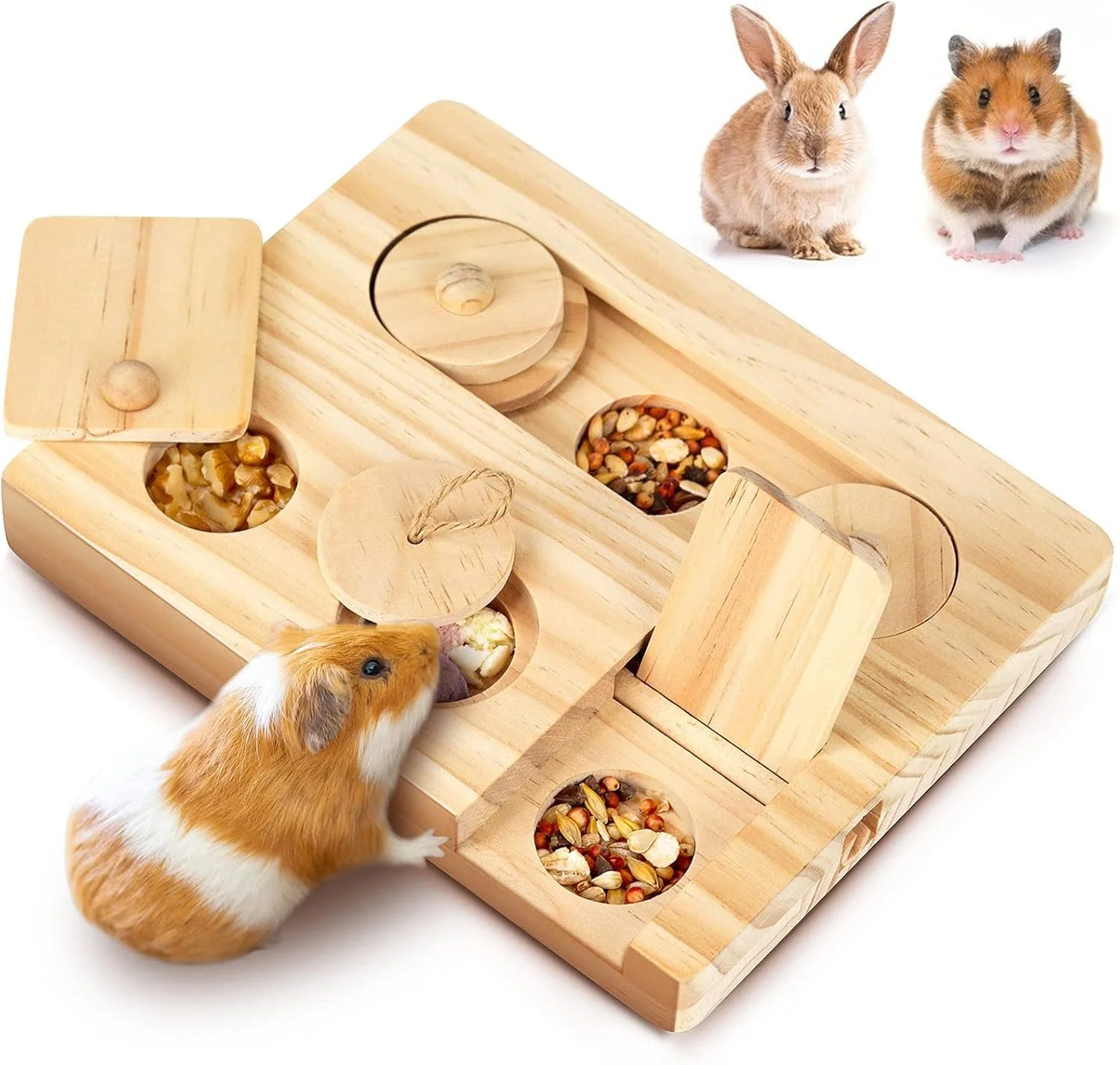 Guinea pig eating from a wooden puzzle toy with compartments filled with seeds and treats, with three guinea pigs in the background.