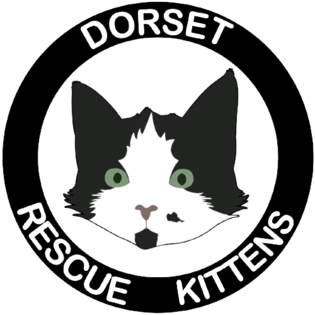 Logo for Dorset Rescue Kittens featuring a black and white cat's face inside a black circular border with white text.