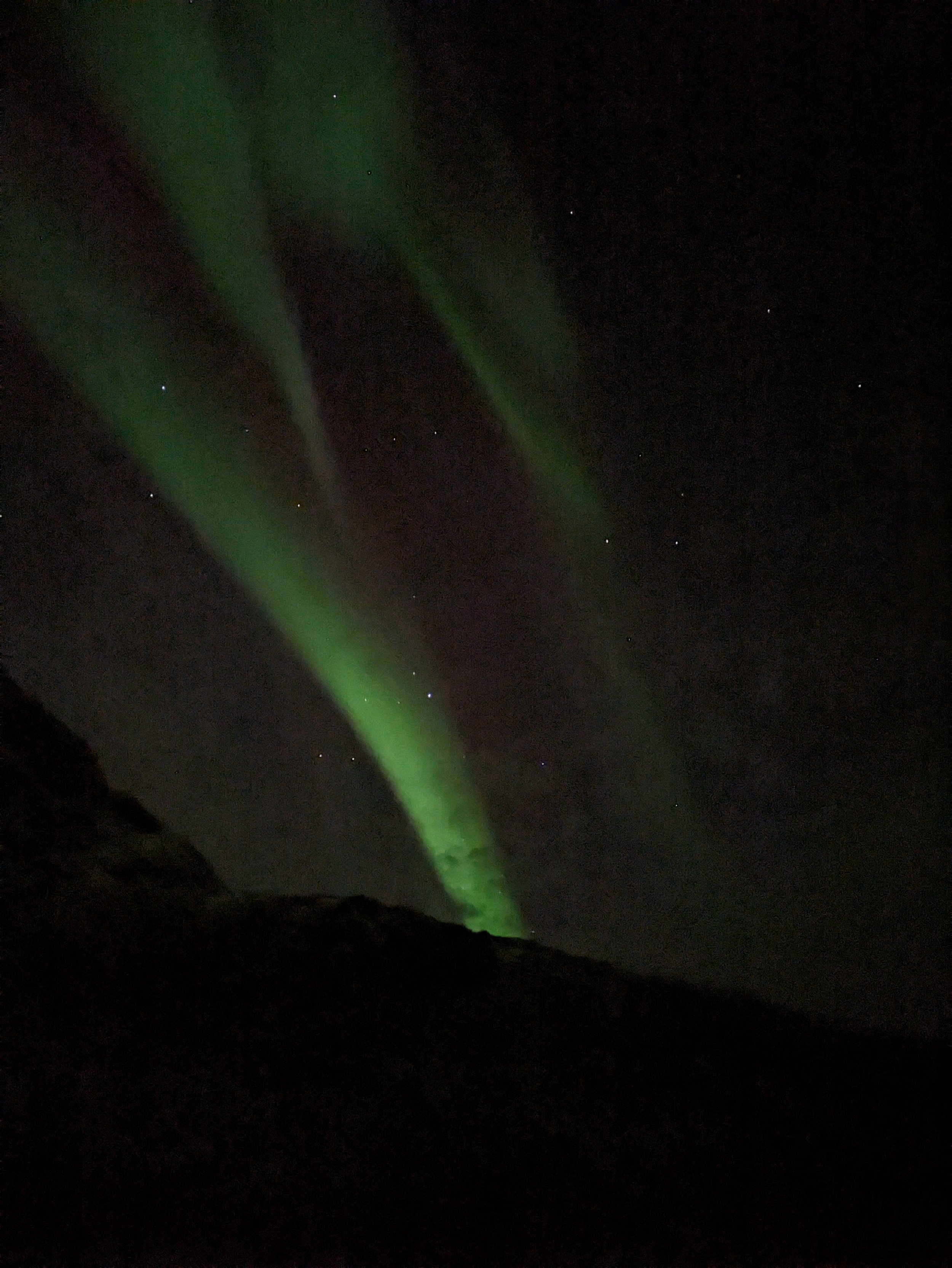 The magic of the Northern Lights dancing across the Arctic night sky. A truly unforgettable and once-in-a-lifetime experience.