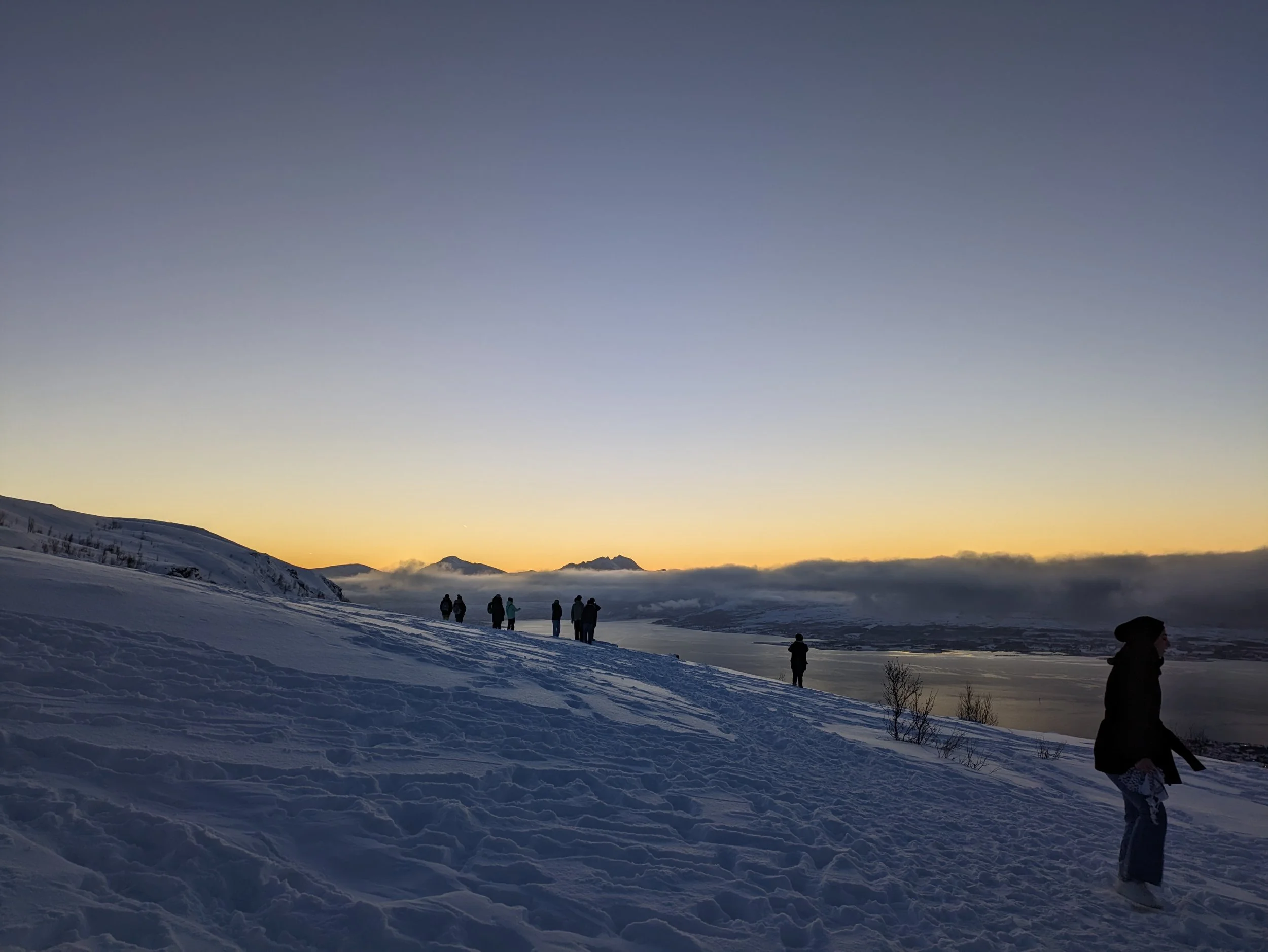 A breathtaking view of the snowy landscape surrounding Tromsø, Norway. The serene beauty of the Arctic in winter is a sight to behold.