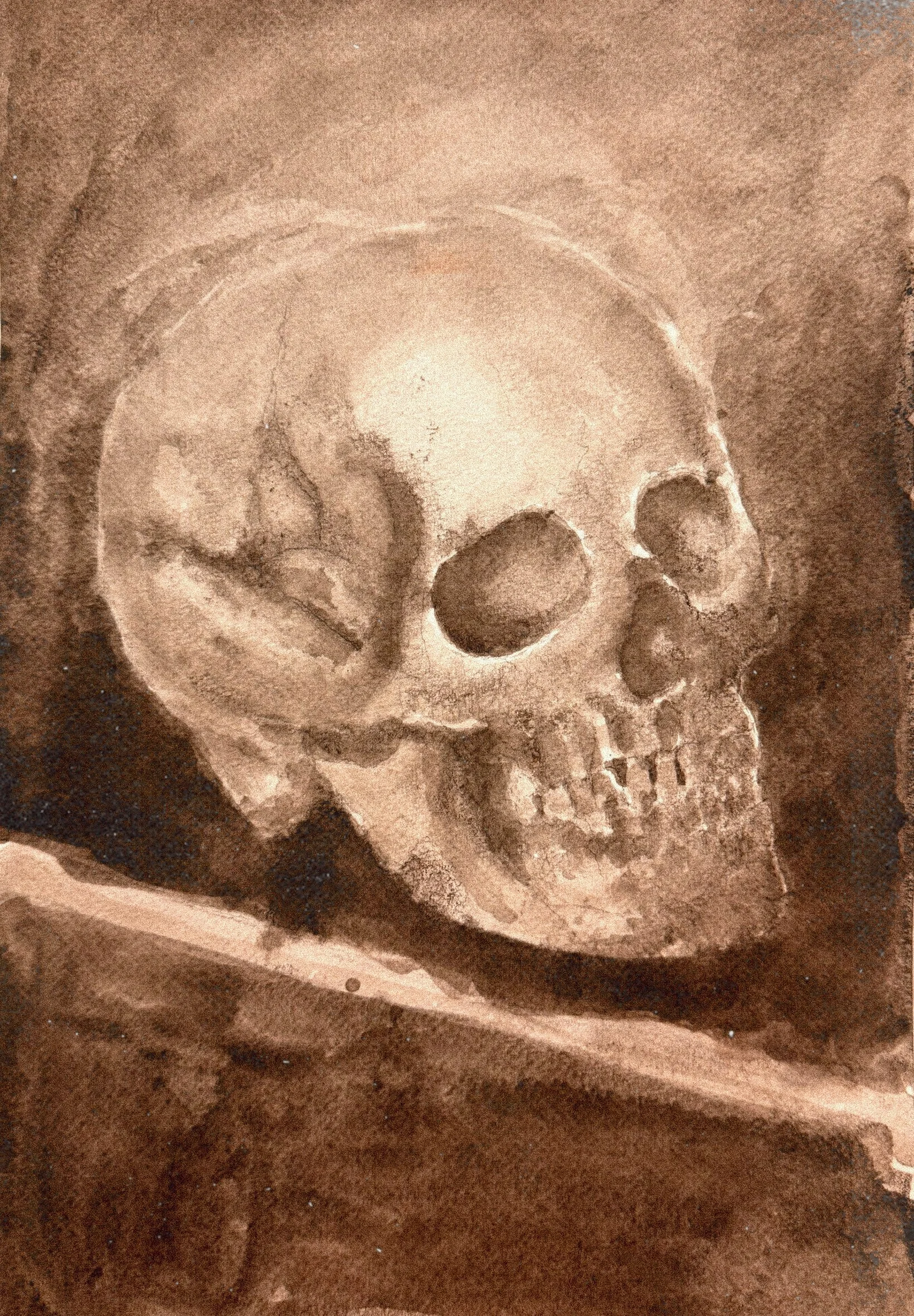 Skeleton Study