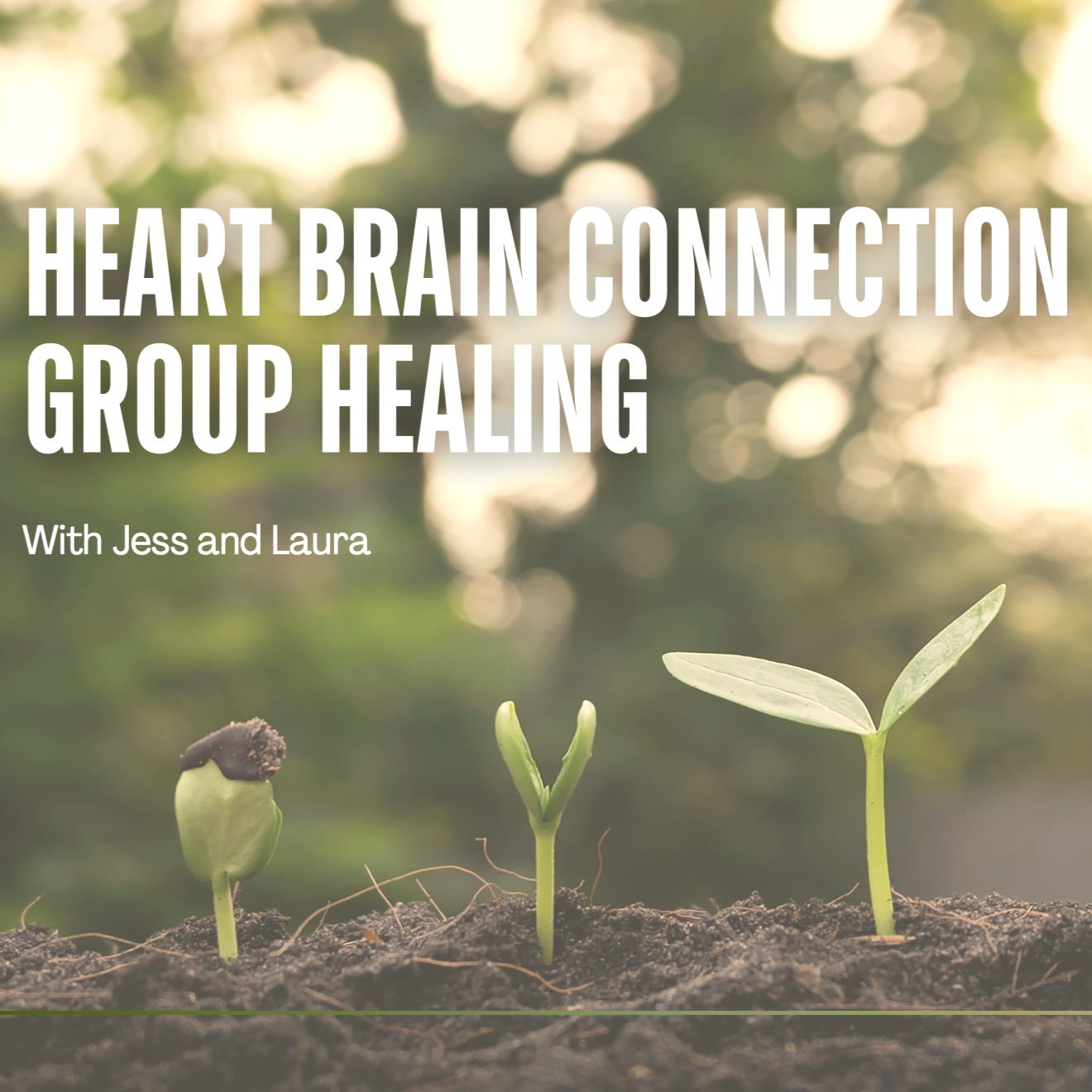 Heart Brain Connection Group Healing
