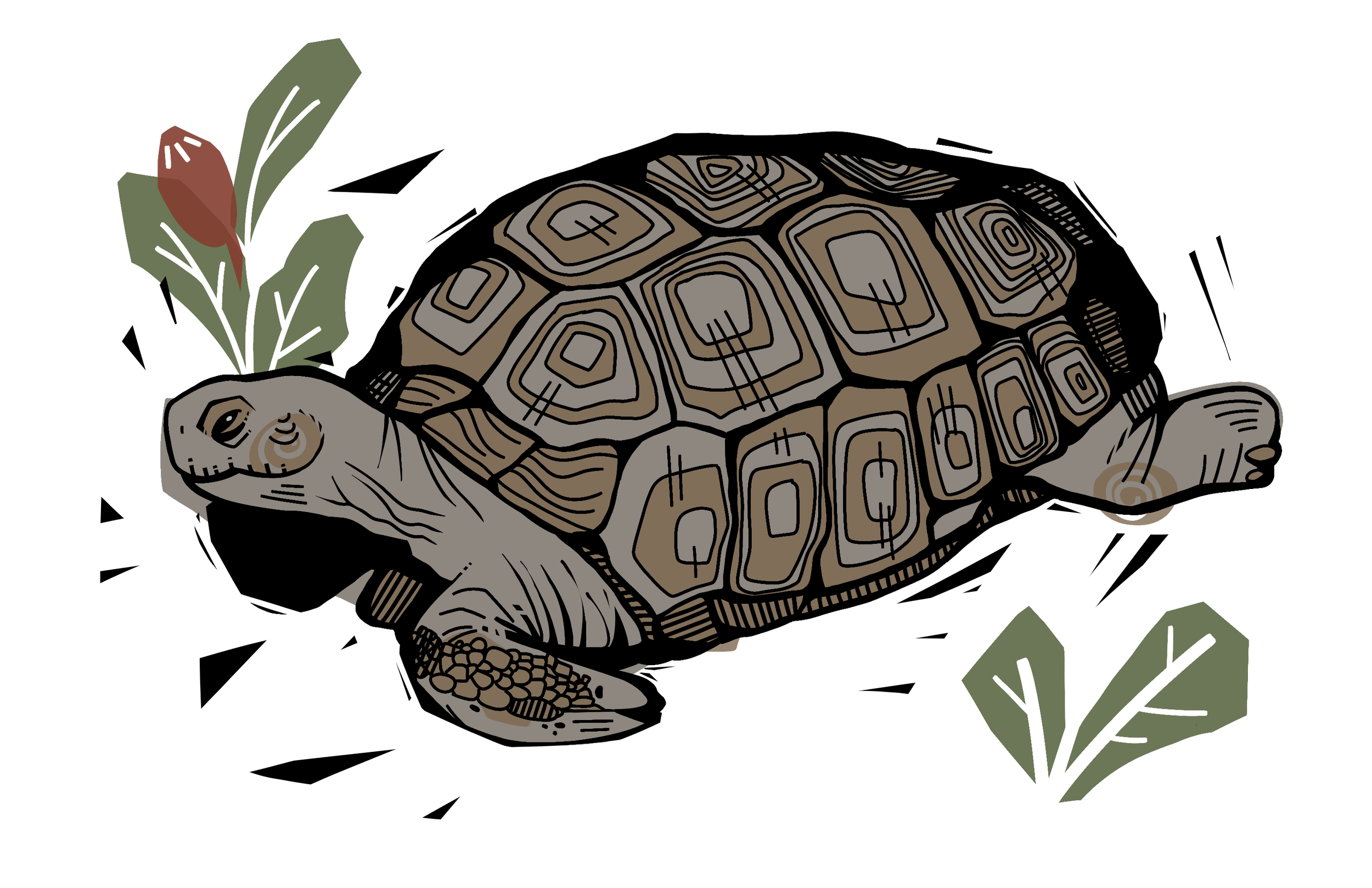 Gopher Tortoise Woodcut.png