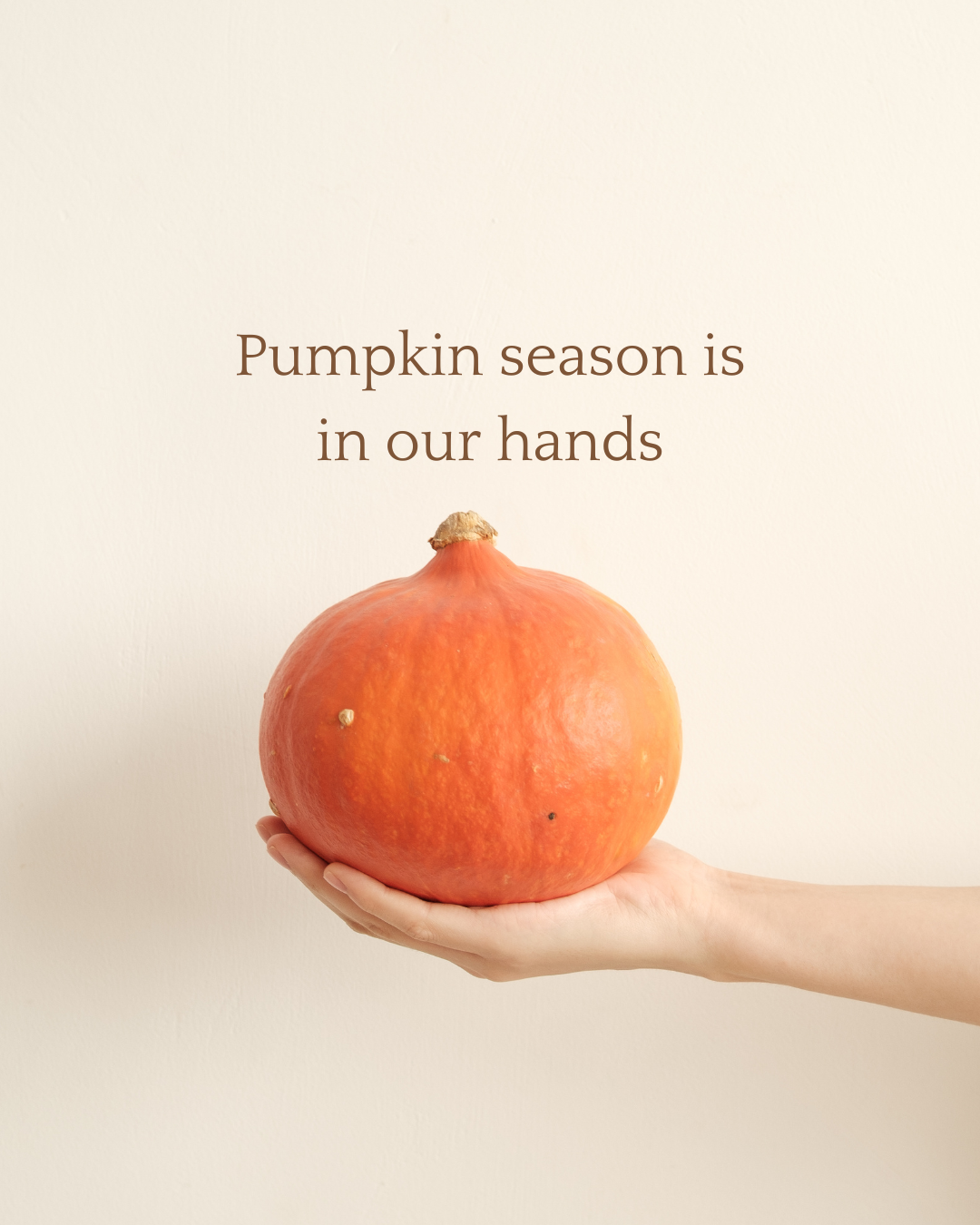 Pumpkin Floral Arrangement Workshop: Fall into Creativity
