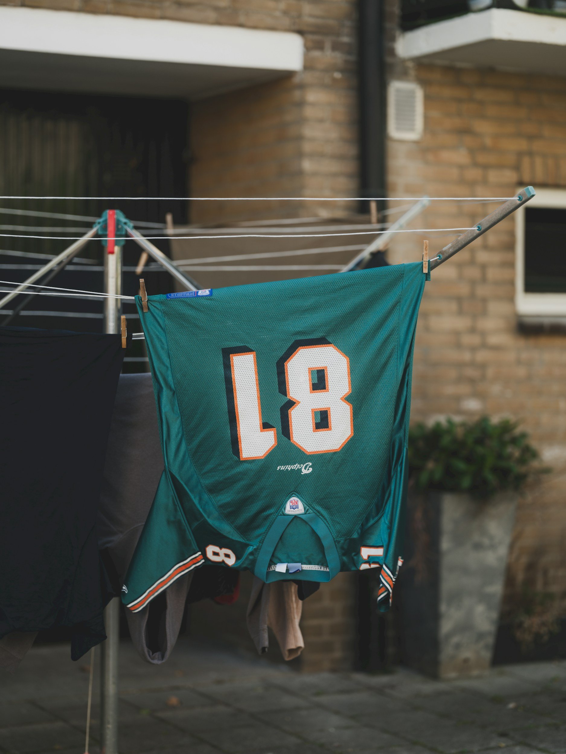 Who will the Miami Dolphins Most Likely as Hire as Head Coach?