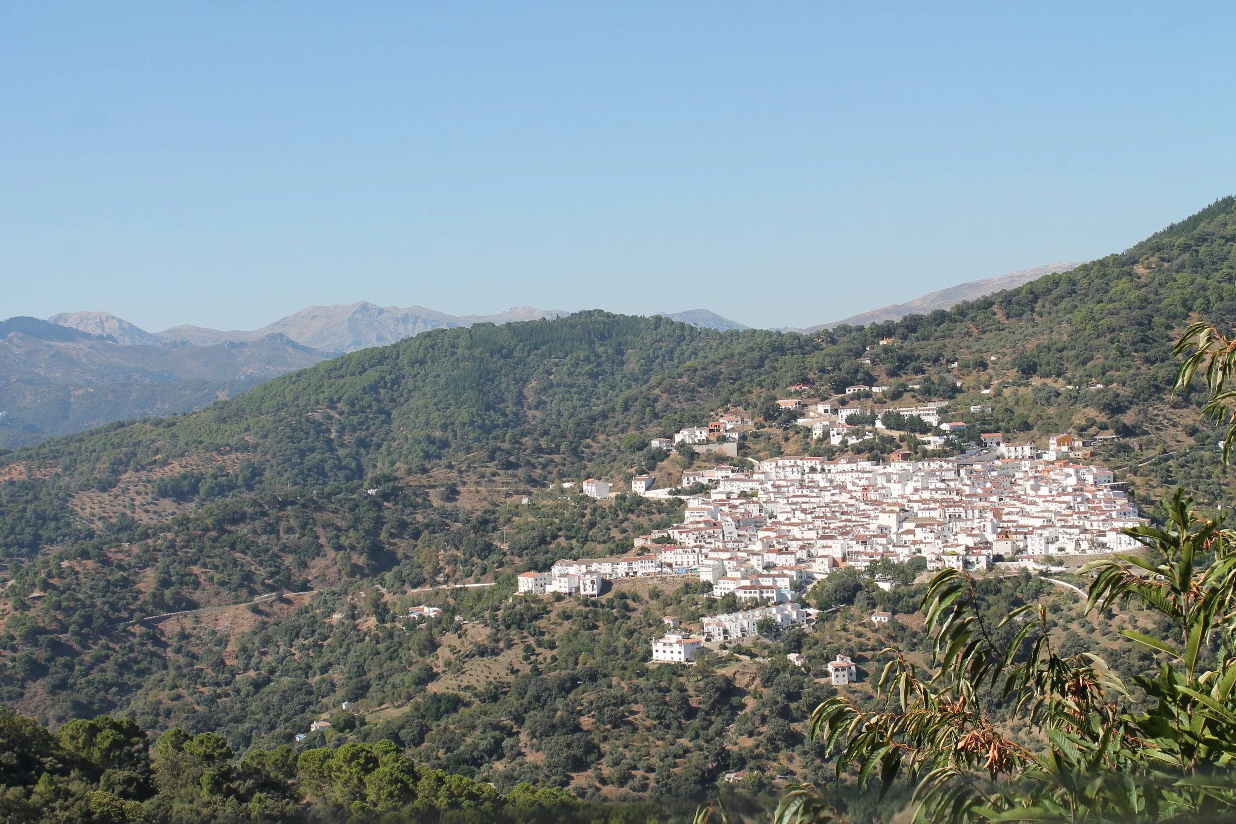 Jubrique, Ronda, Andalucia (Spain)