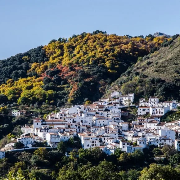 Benalauría, Ronda, Andalucía (Spain)