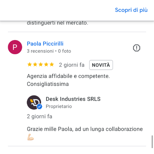 Recensione online tra Paola Piccirilli e Desk Industries SRLS in italiano.