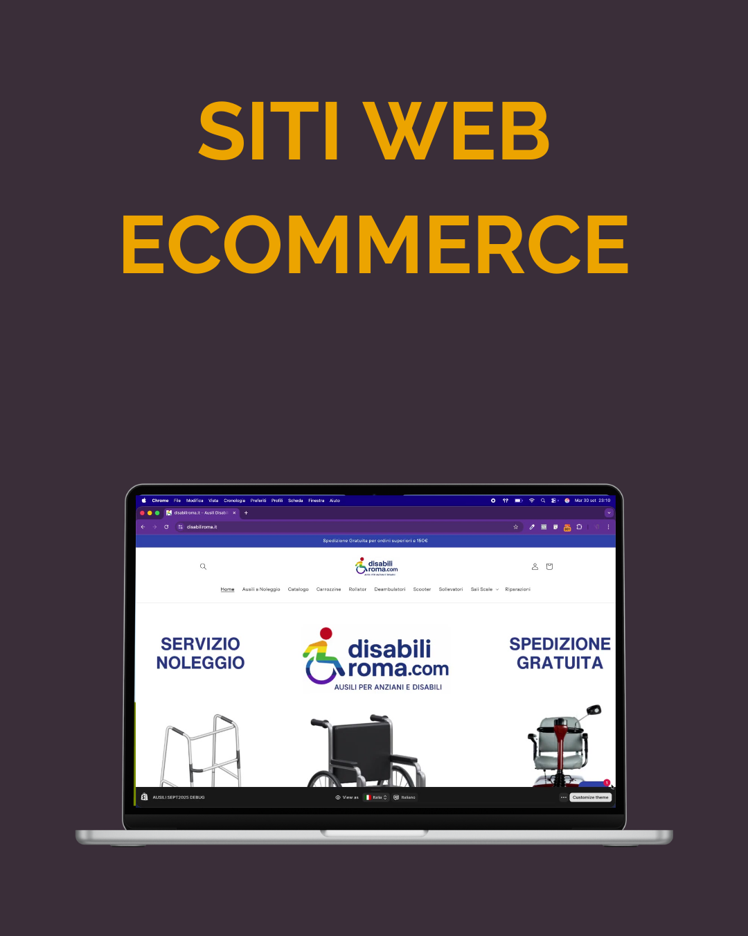 Caso studio Desk Industries di un ecommerce realizzato per il cliente Ausili Disabili Roma. La schermata raffigura la home page.