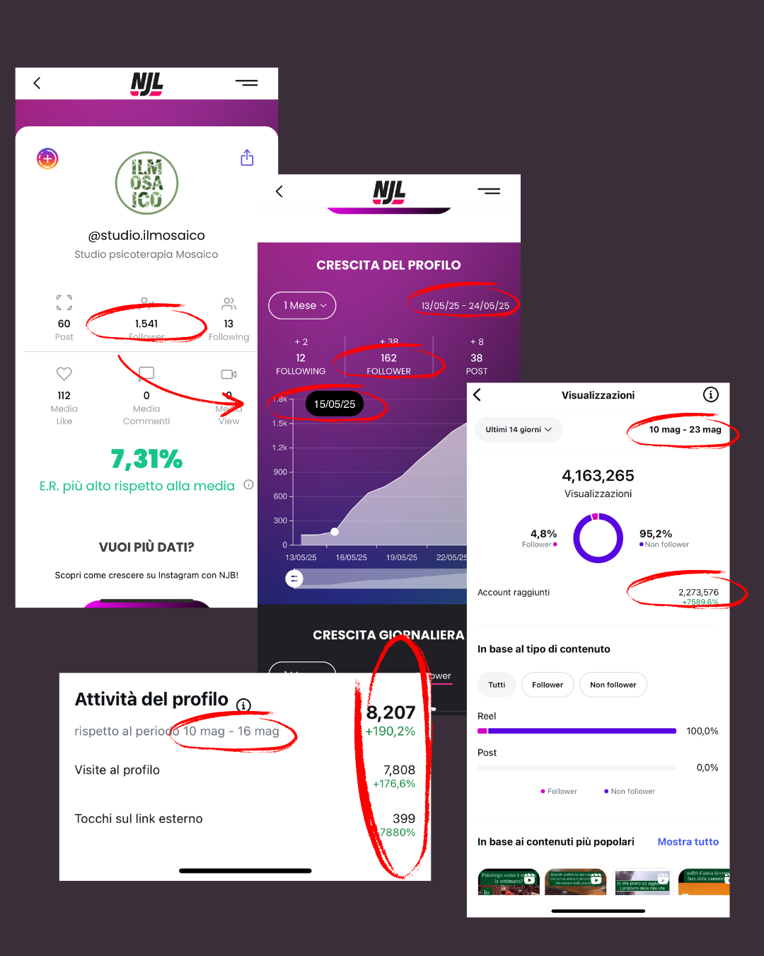 Schermate di statistiche di un profilo Instagram con dati sull'attività, crescita e engagement, in italiano, con vari numeri e date evidenziati in rosso e nero.