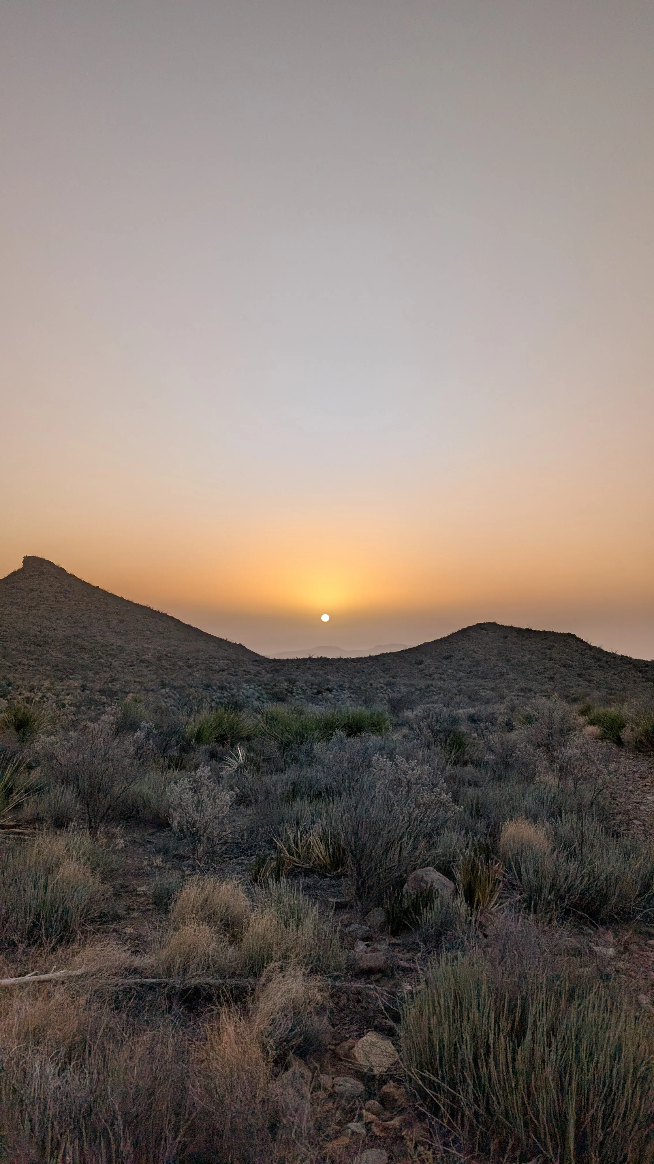 Sunrise in the Upper Chihuahua Desert - Big Bend National Park