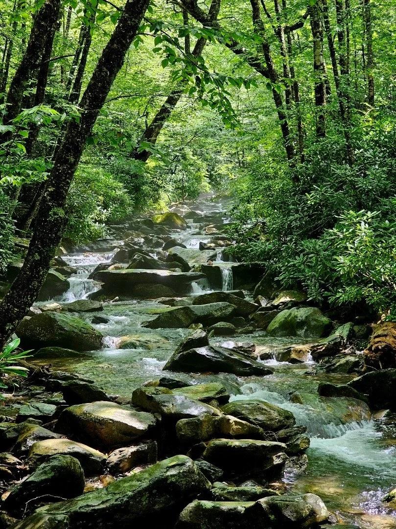 Le Conte Retreat | VIP Experience