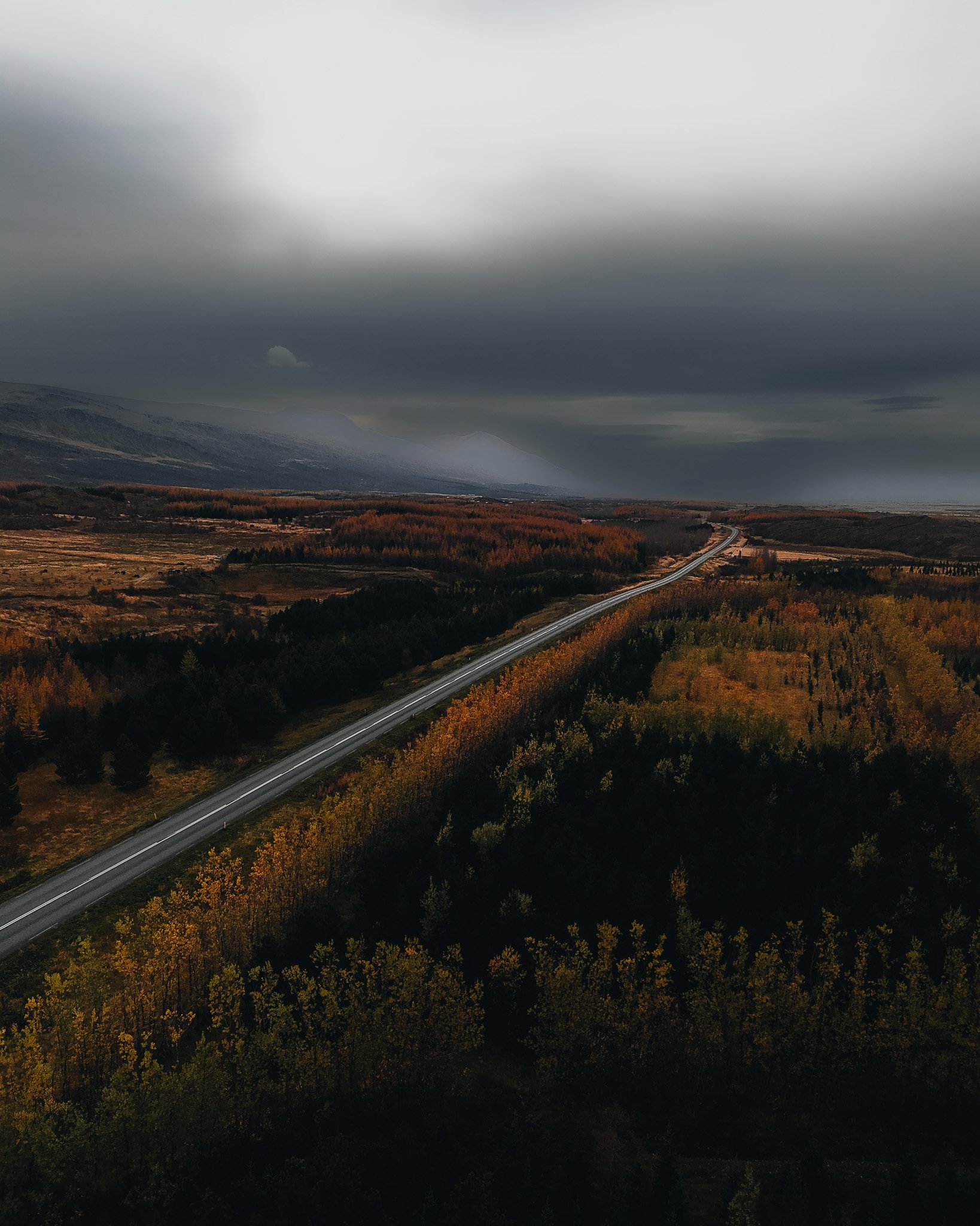 dji_fly_20251009_134310_0261_1761149819552_photo.jpg