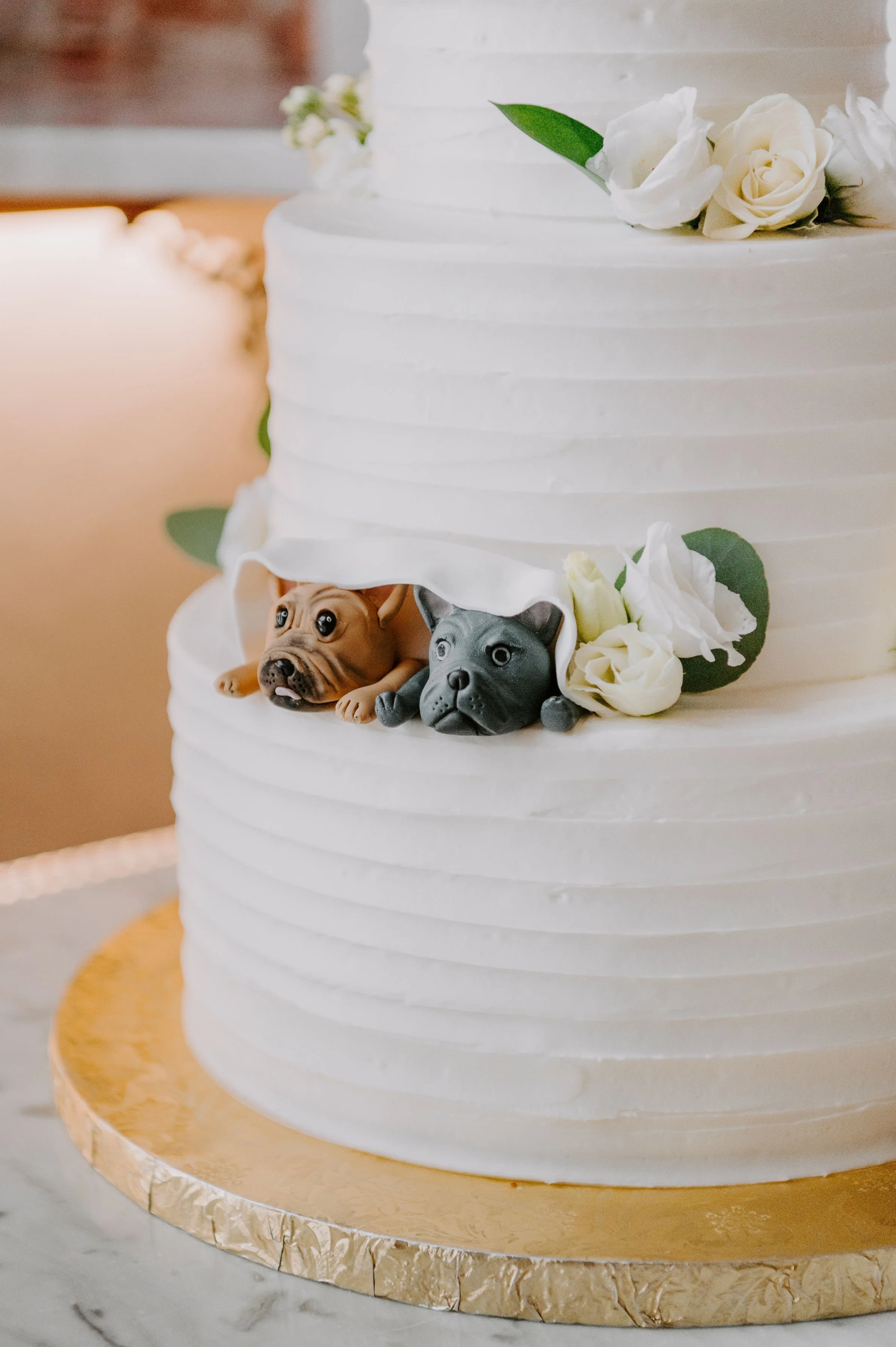 Kate+Kenny-Sneak-Peek-1313.jpg