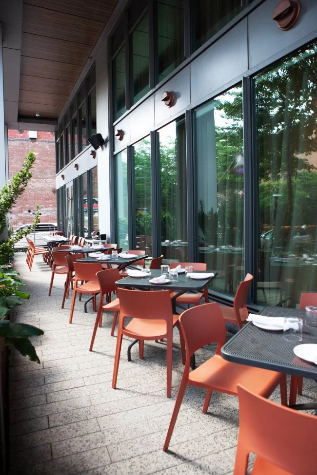 Baleia Patio A.jpg