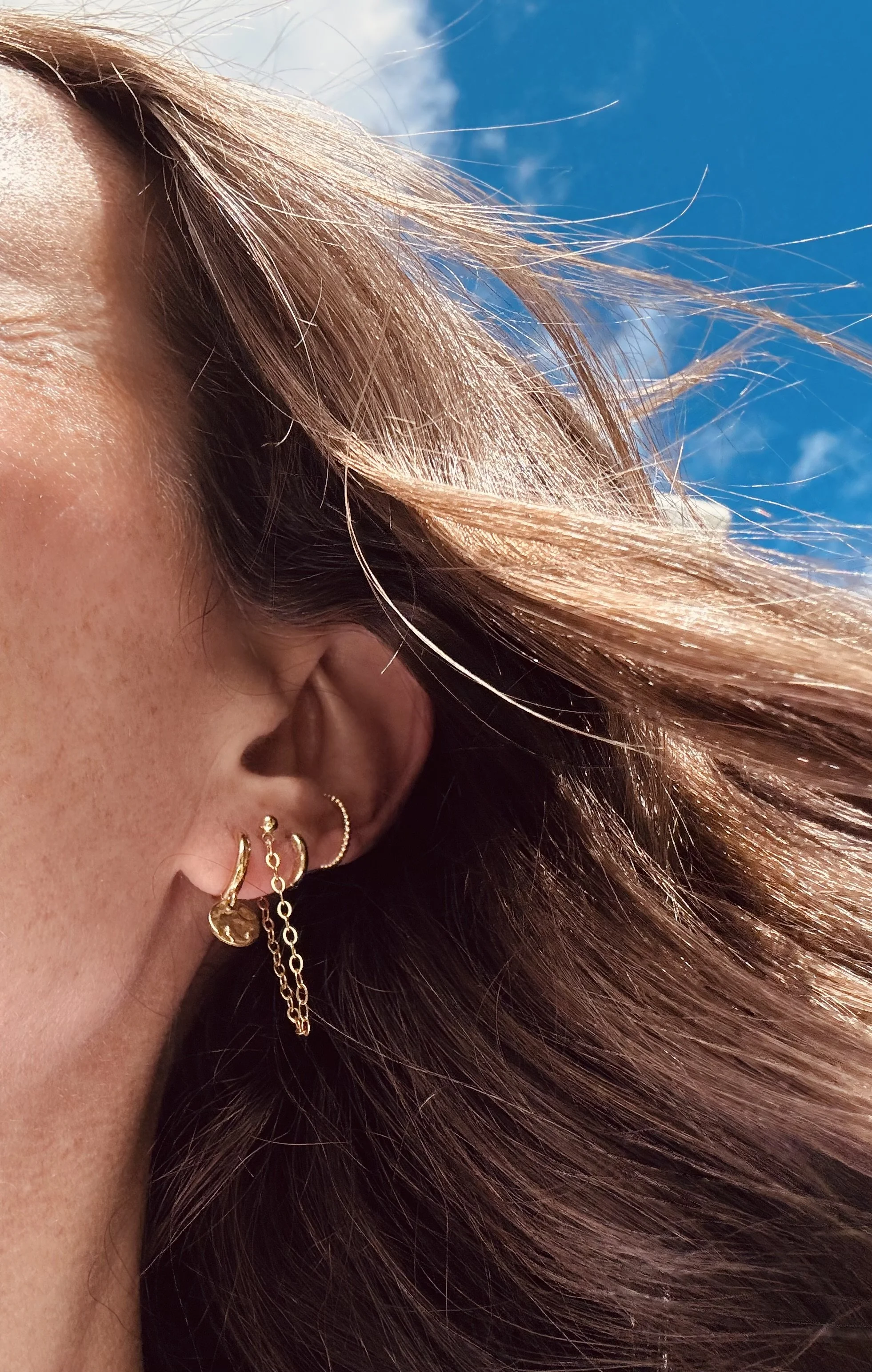 Chain and Disc Earring Set