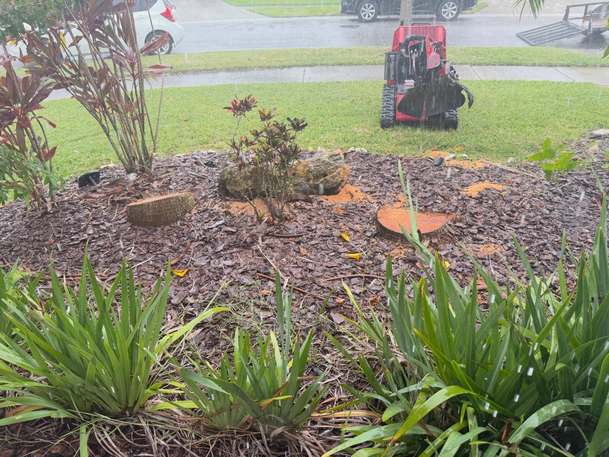 Stump Grinding Before