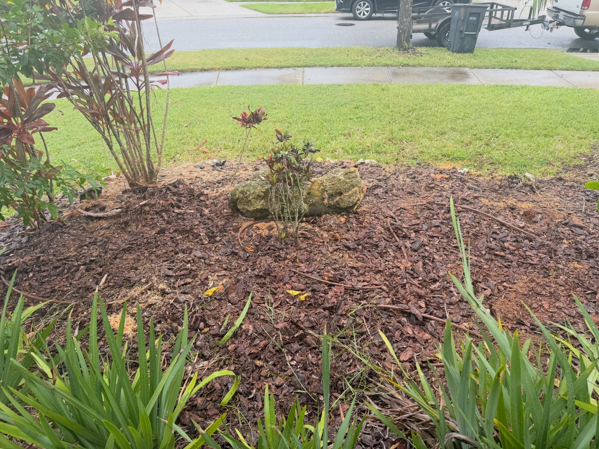 Stump Grinding After