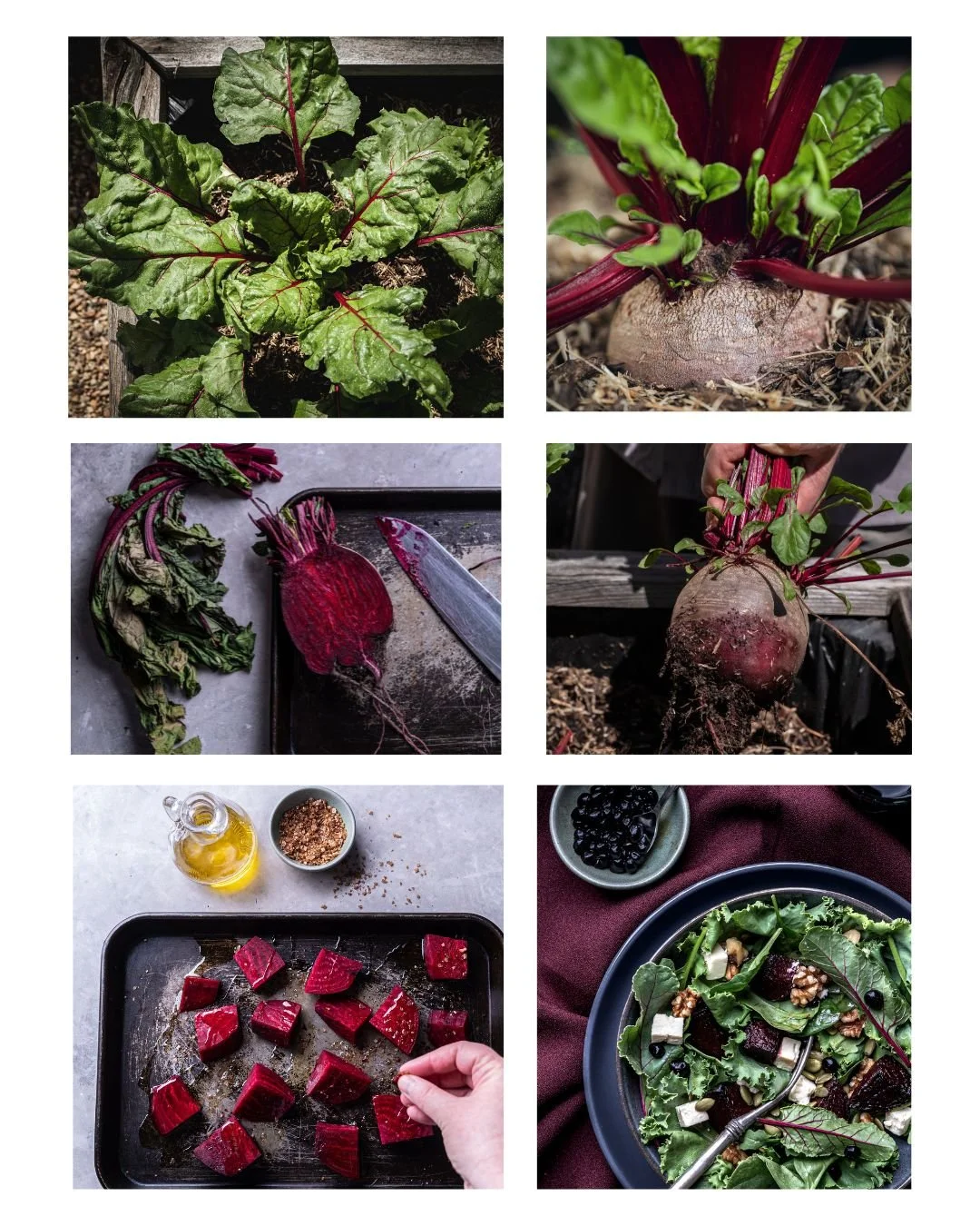 Beetroot Food Story.jpg