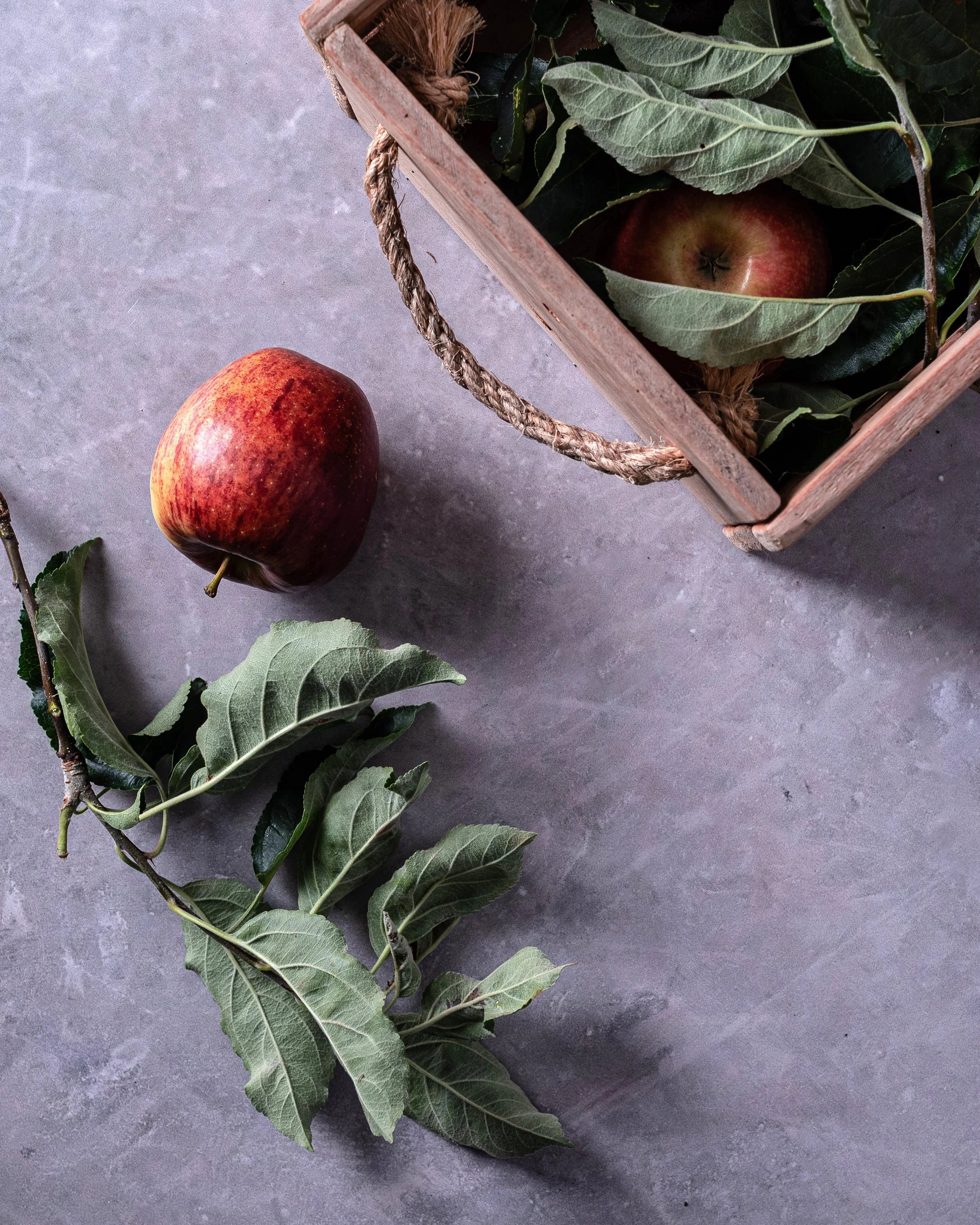 Apple-3.jpg
