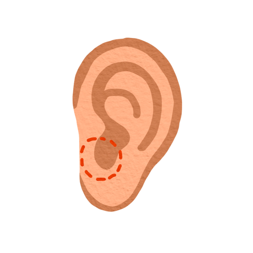 Earache and Tinnitus