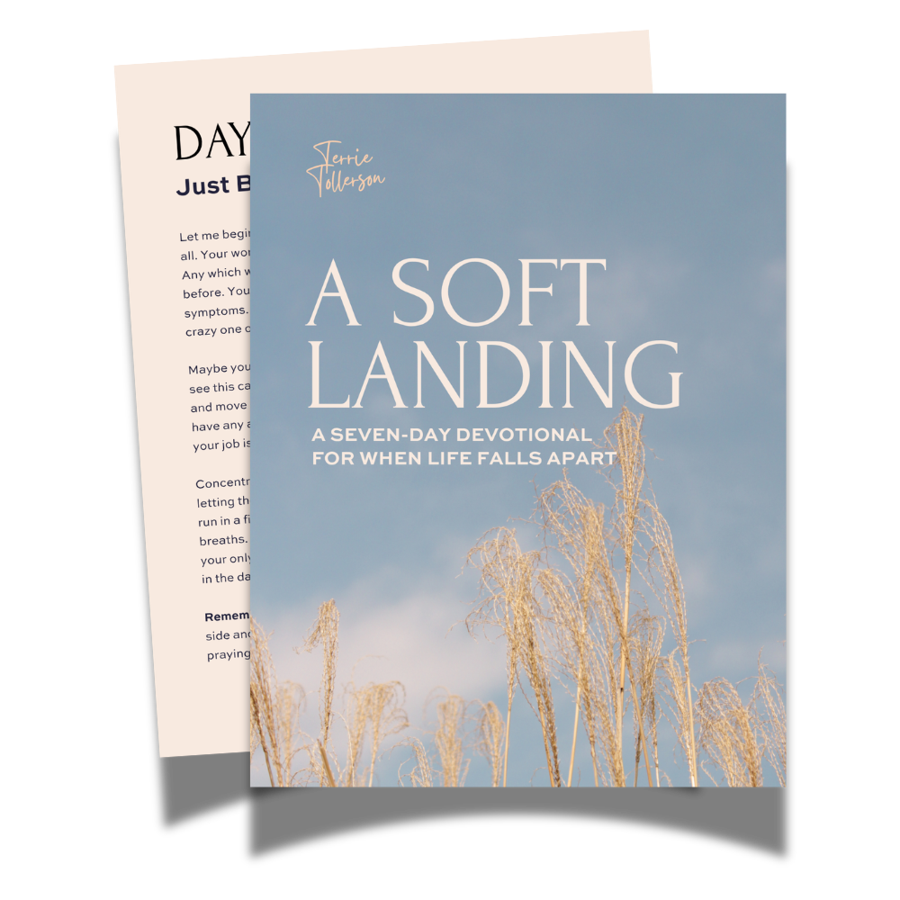 Cover of a devotional booklet titled 'A Soft Landing' with a background of a blue sky and tall dried grasses.