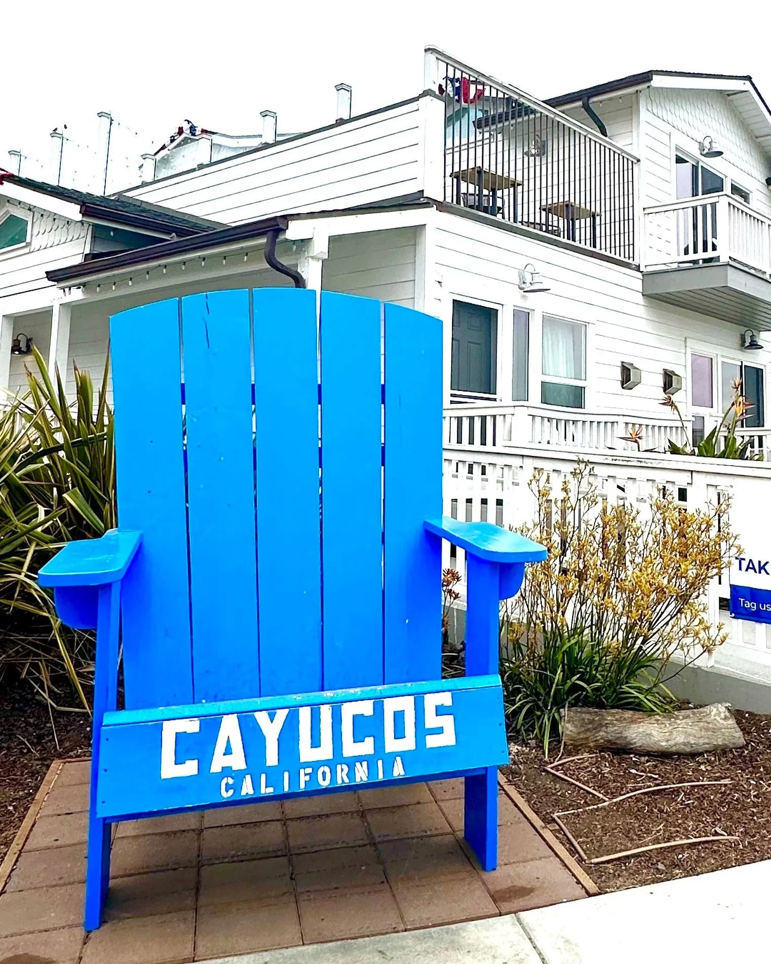 Large blue Adirondack chair with the word "CAYUCOS" painted on the backrest and "CALIFORNIA" on the seat, positioned on a tiled sidewalk in front of a white fence and residential building.