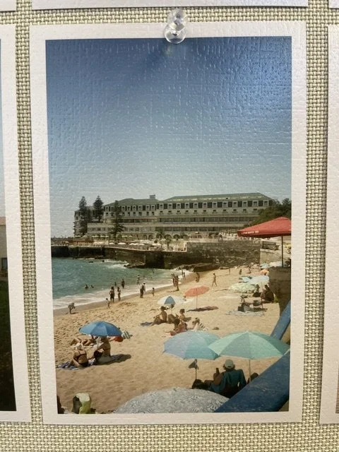 IMG_2931.jpeg