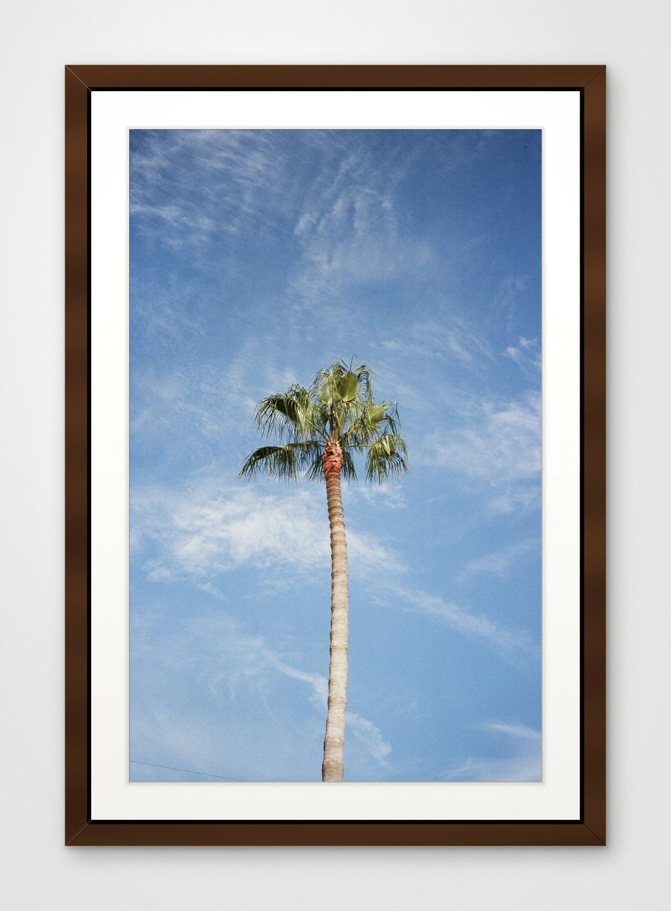 palm_tree_sky_framed.jpg