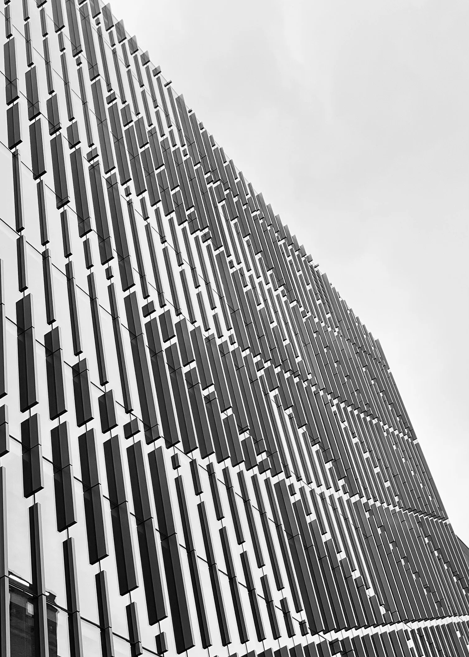 Organizational Resilience Consulting