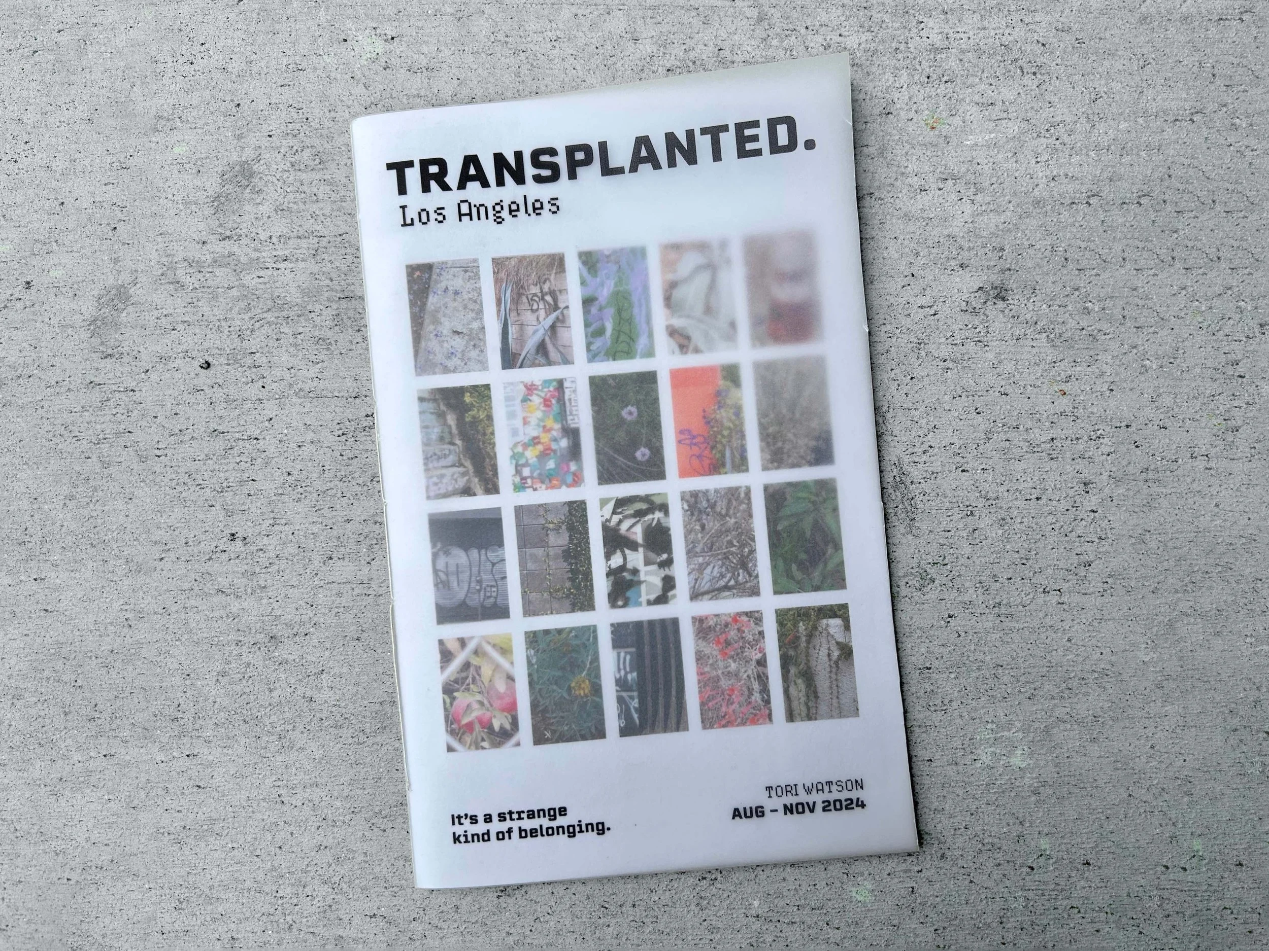 A printed pamphlet titled 'Transplanted' with images of urban scenes and plants, with text indicating it is for Los Angeles and November 2024, and a quote saying 'It's a strange kind of belonging.'