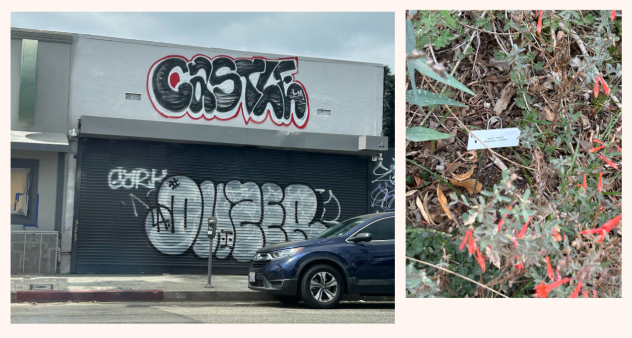 Photo of a grey building with a black garage door covered in graffiti art and a large graffiti sign reading "Censta" above it. A blue car is parked in front of the building on the street. Next to the building, there is a small parking meter.