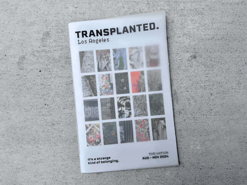 A brochure titled "Transplanted" with the subtitle "Los Angeles" and a message "It's a strange kind of belonging" at the bottom. The brochure displays a grid of various photographs or images.