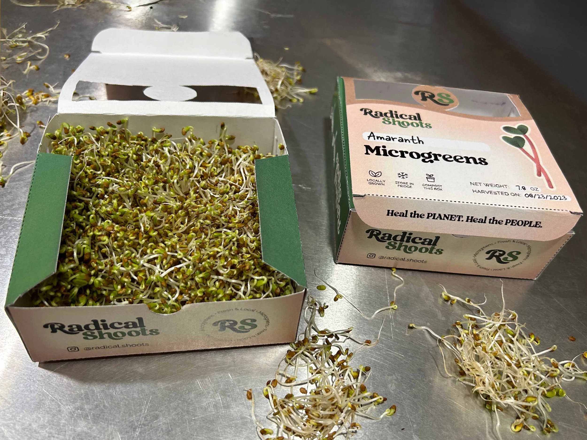 A box of sprouted microgreens and a labeled box with more microgreens on a metal surface.
