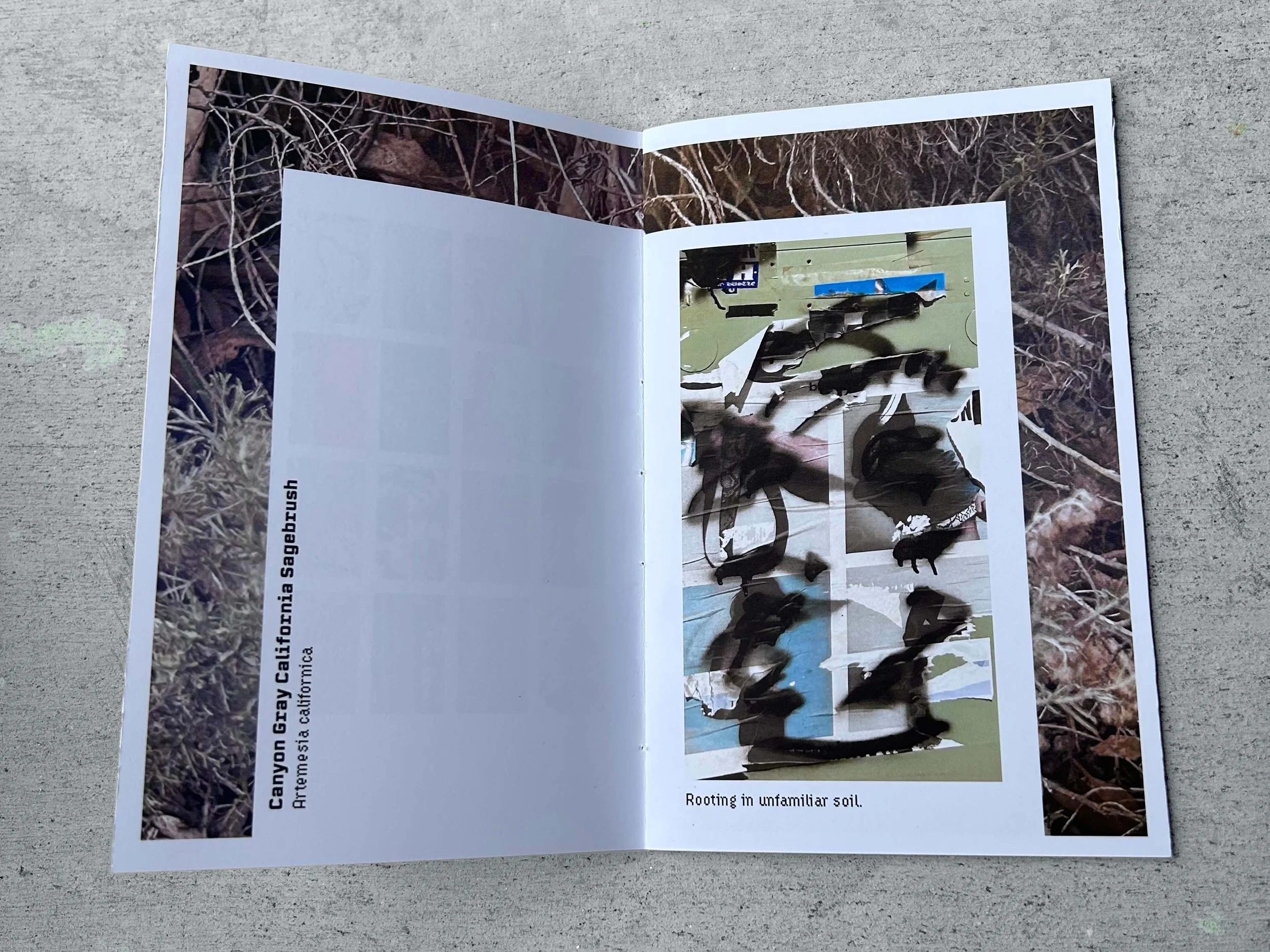 Open magazine showing a photo of roots in soil and a collage of images with the caption, 'Rooting in unfamiliar soil.'