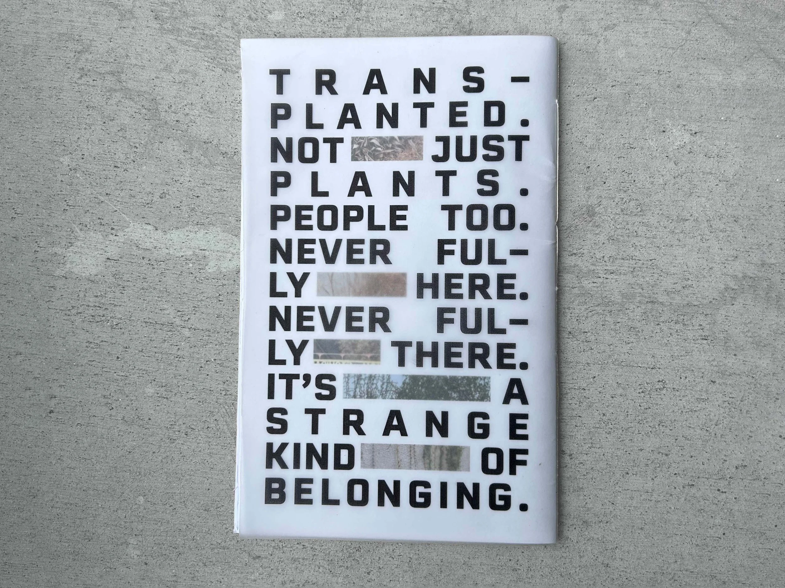 Poster with bold black text on a white background reading 'Trans-planted. Not just plants. People too. Never fully here. Never fully there. It’s a strange kind of belonging.' on a gray surface.