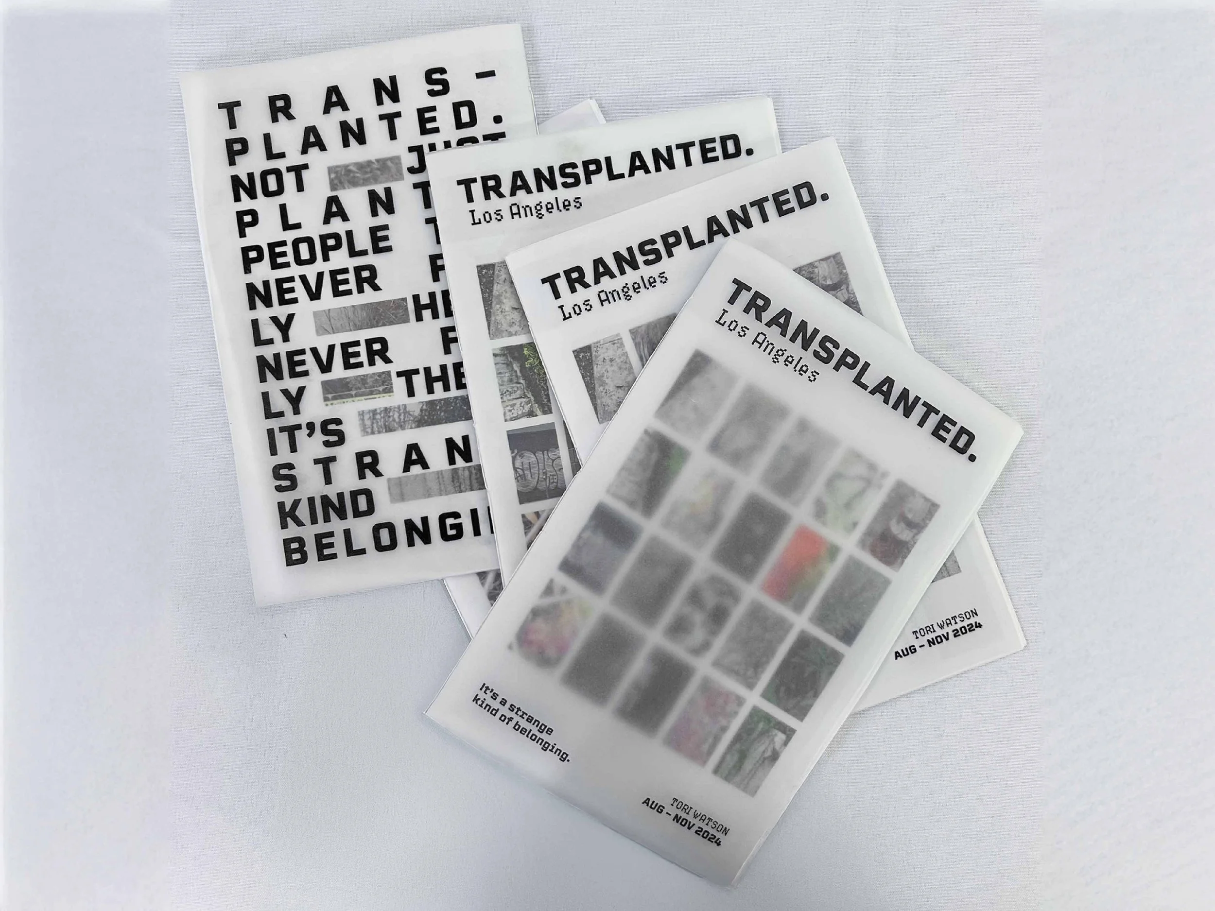 Three brochures titled 'Transplanted' from Los Angeles, featuring blurred images on the covers. One brochure has visible text that reads: 'It's a strange kind of belonging.'