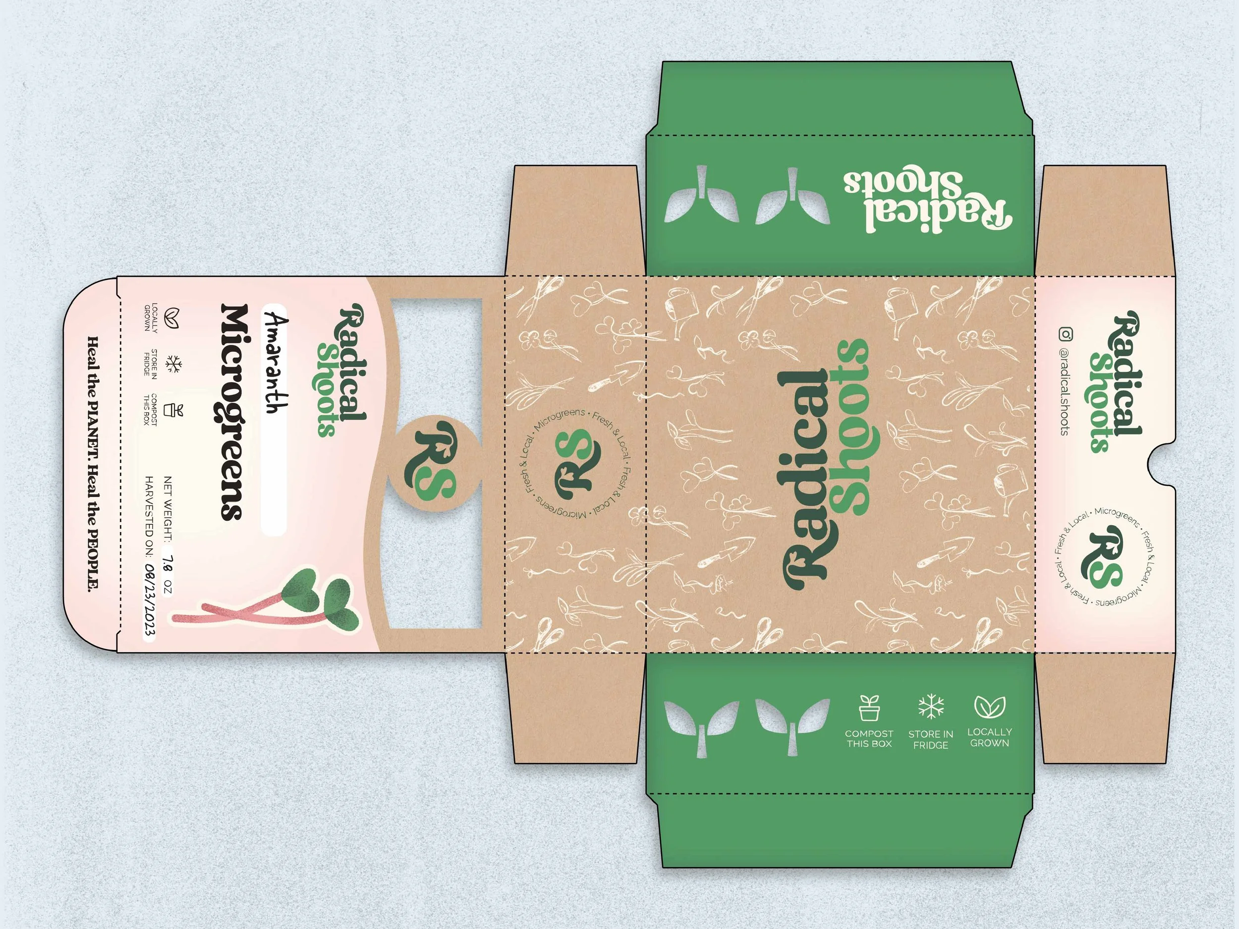 Flat, unfolded packaging box for Radiical Shoots Microgreens, featuring a beige background with white line drawings of plants, green accents, and text. The front panel has a handle cutout, the product name, and care instructions. The side panel inclu