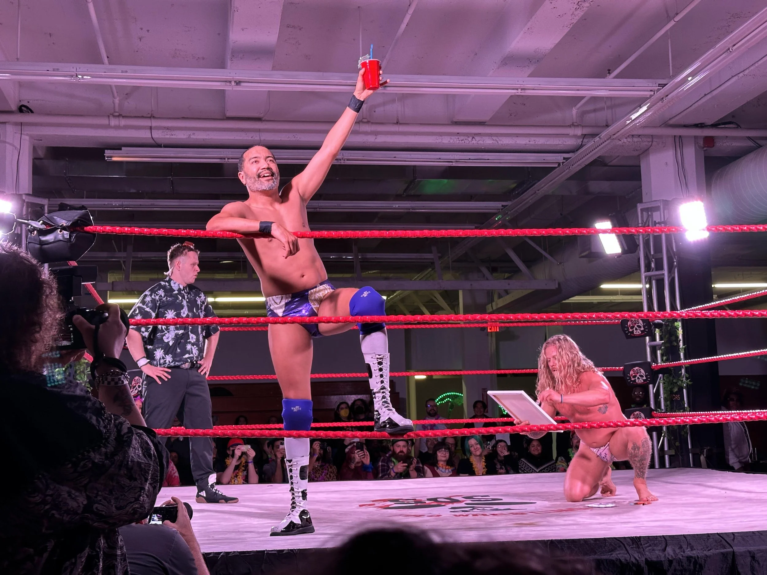 The Art Of Pro Wrestling.