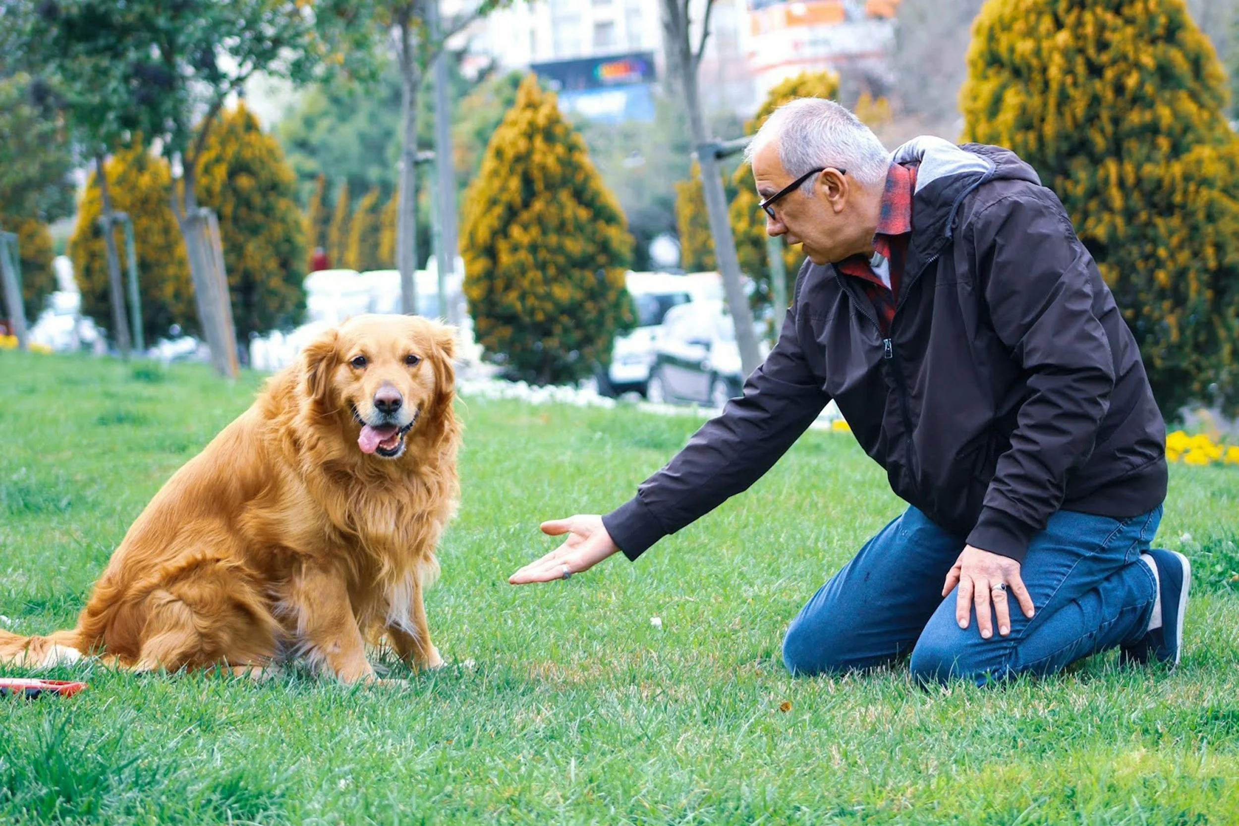 senior playing with dog