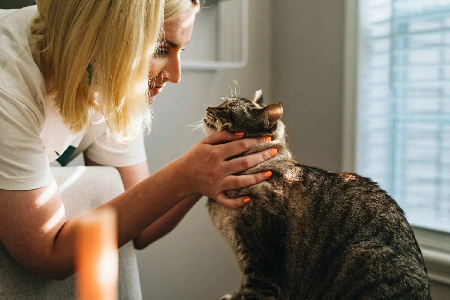 A woman with blonde hair gently holding a tabby cat's face, both appearing content and affectionate indoors near a window with blinds.