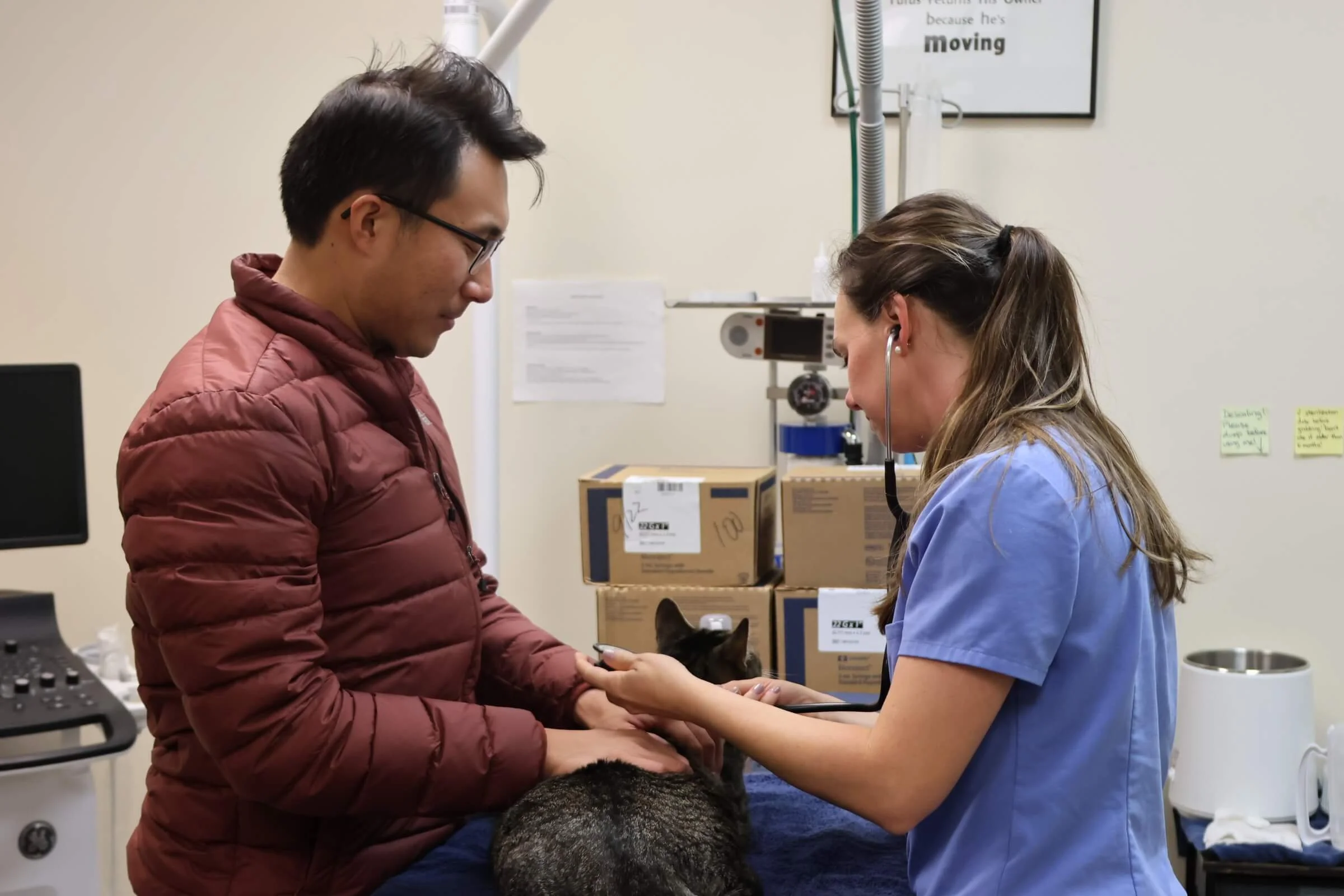A veterinarian with long hair, wearing blue scrubs and a stethoscope, examines a black cat held by a man in a red jacket in a veterinary clinic. The clinic has boxes and medical equipment in the background.