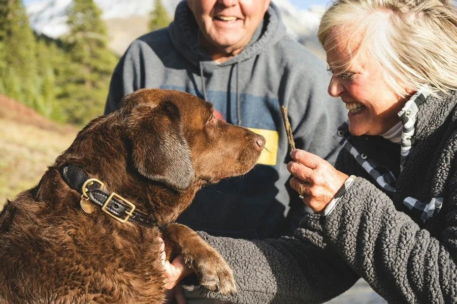 An elderly woman and man outdoors with a brown dog. The woman is holding a stick and using it to interact with the dog, while the man looks on smiling.