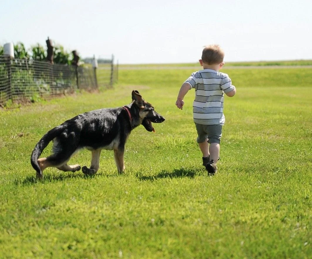 A young boy running across a grassy field with a dog following close behind.